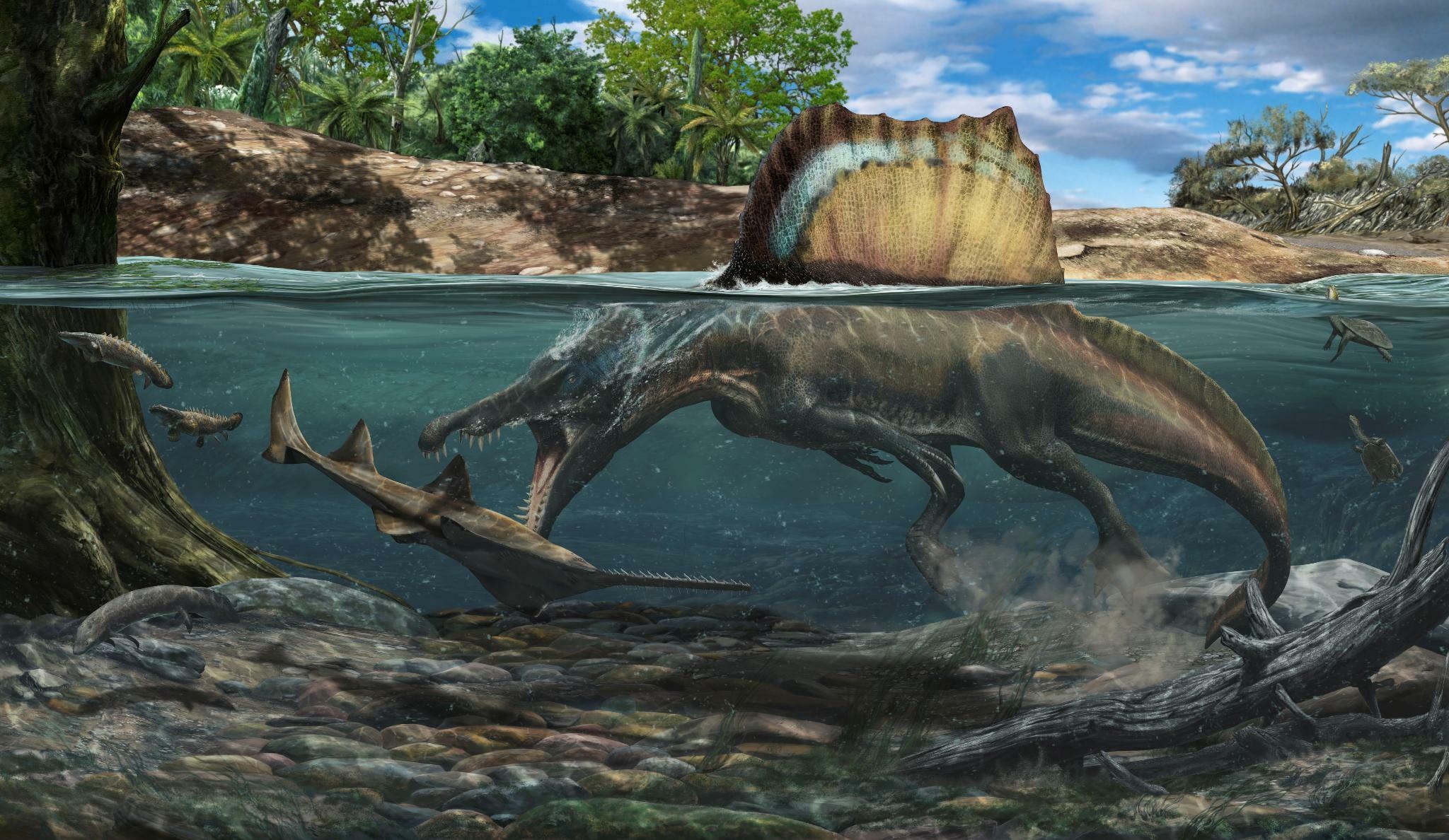 Spinosaurus jagte vor, Unter wasser t rex, Predatory behavior, Aquatic hunting, 2050x1190 HD Desktop