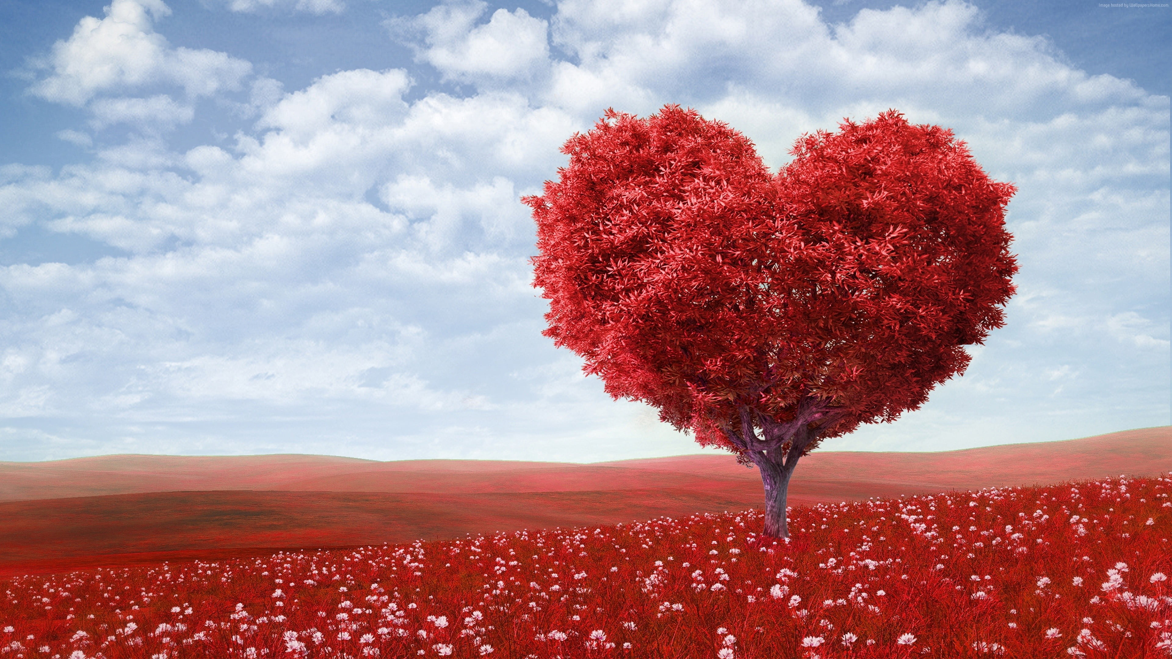 Heart shape, heart-shaped red tree, daytime, 3840x2160 4K Desktop