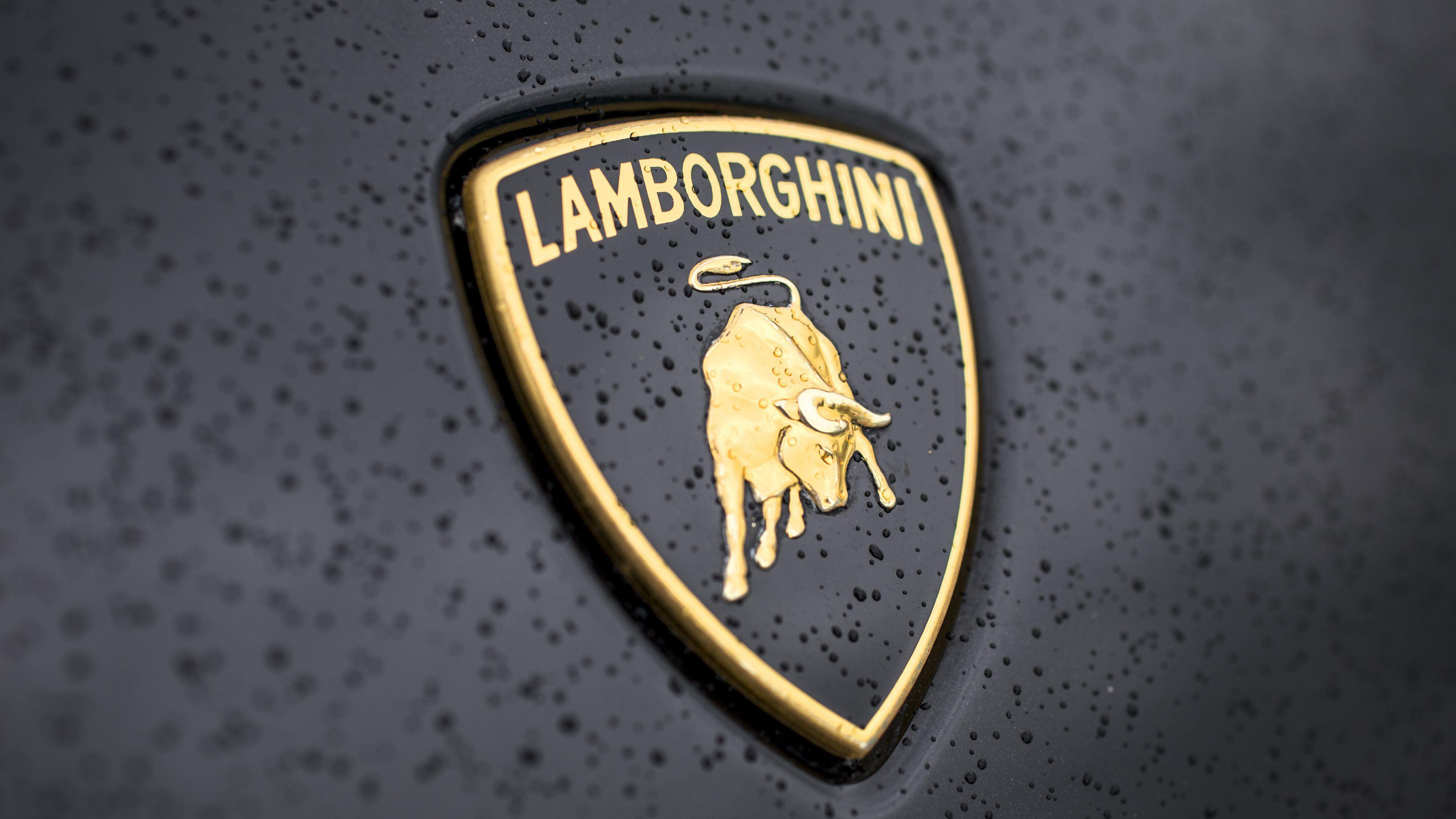 Lamborghini Logo, 4K wallpapers, Premium images, High-quality backgrounds, 3840x2160 4K Desktop