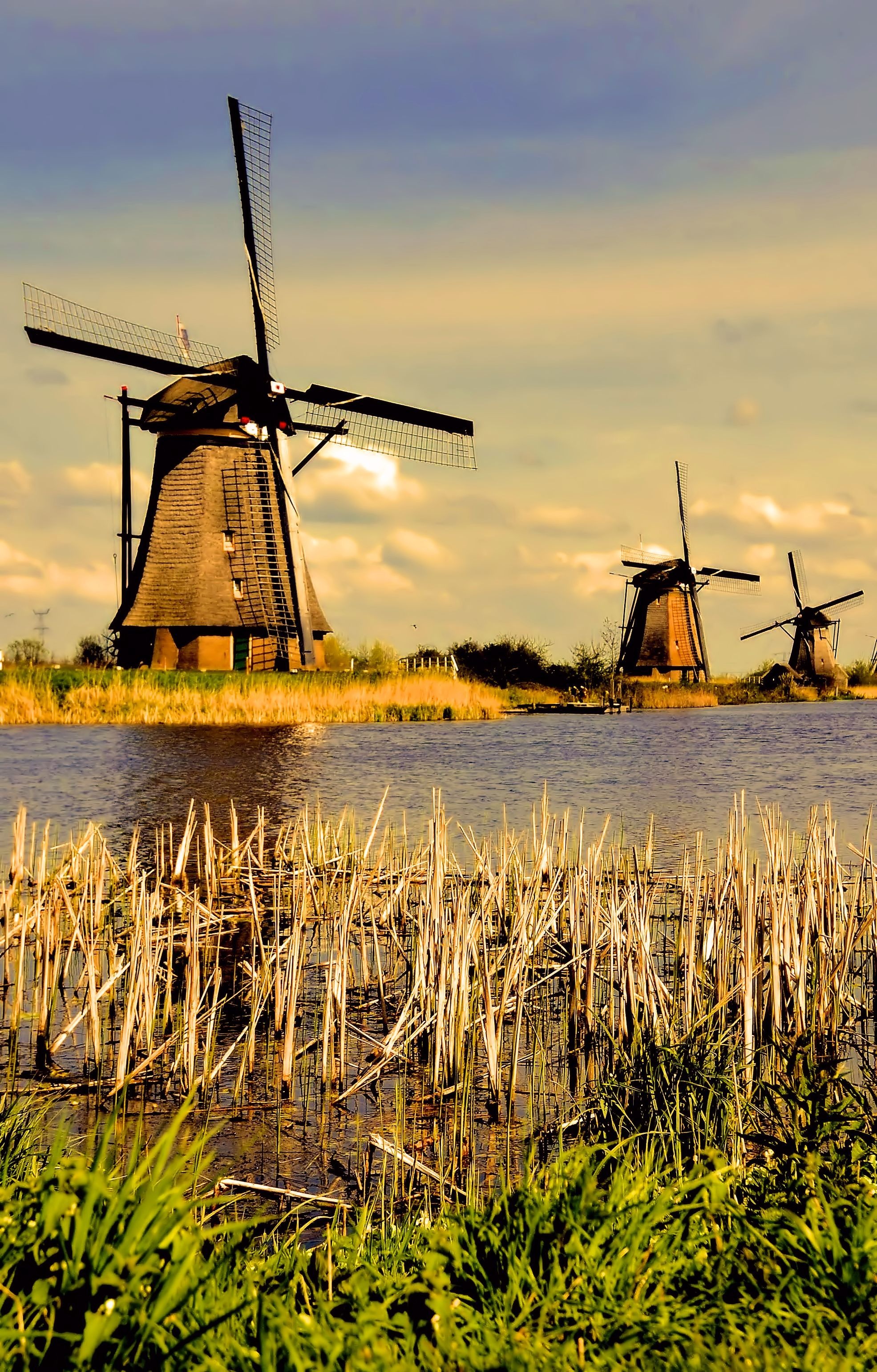 Kinderdijk windmills, Dutch waterways, Dutch landscape, Travelling, 1980x3090 HD Phone