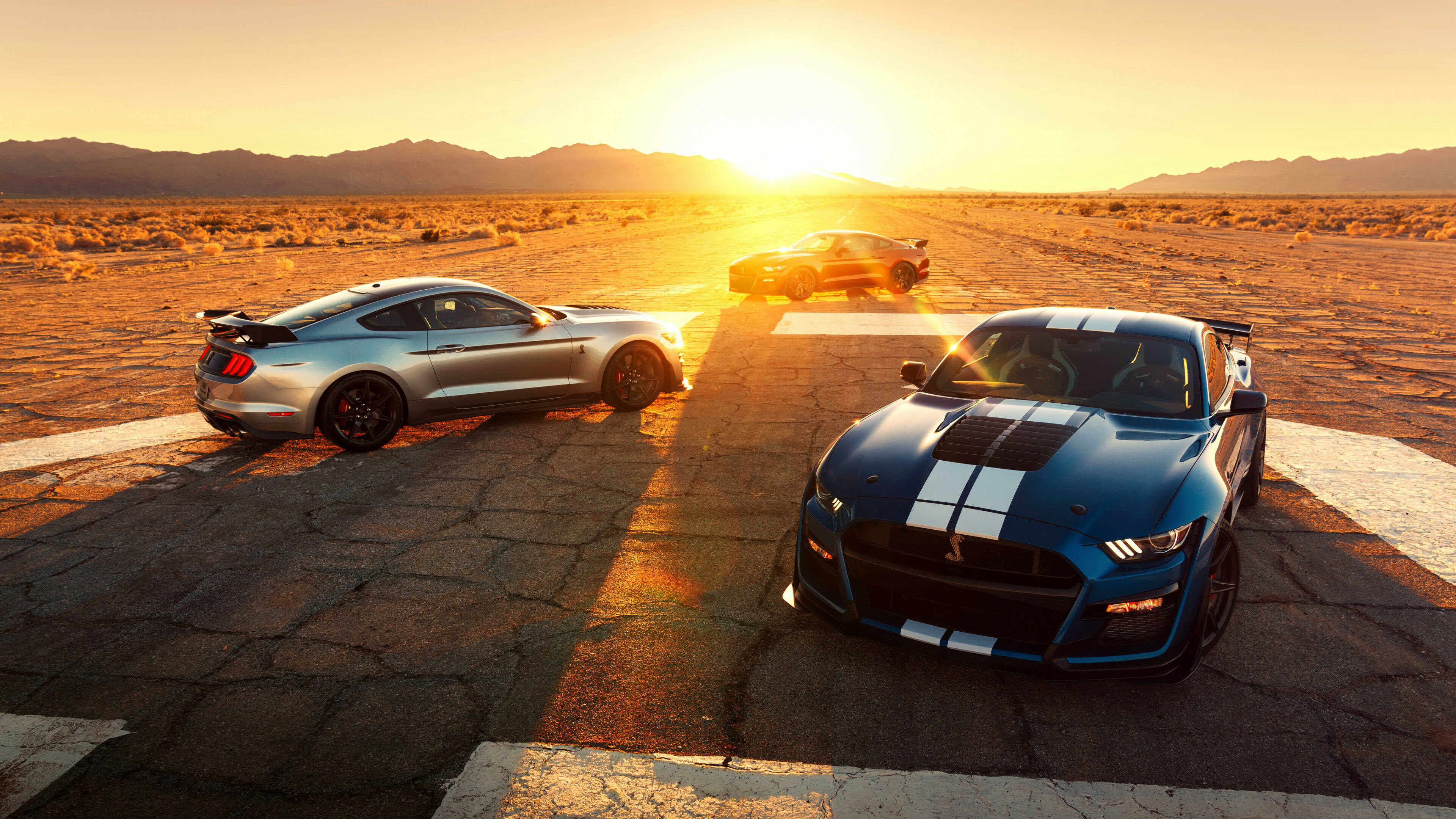 Ford: Mustang Shelby GT500, An ultra-high-performance car. 3840x2160 4K Wallpaper.