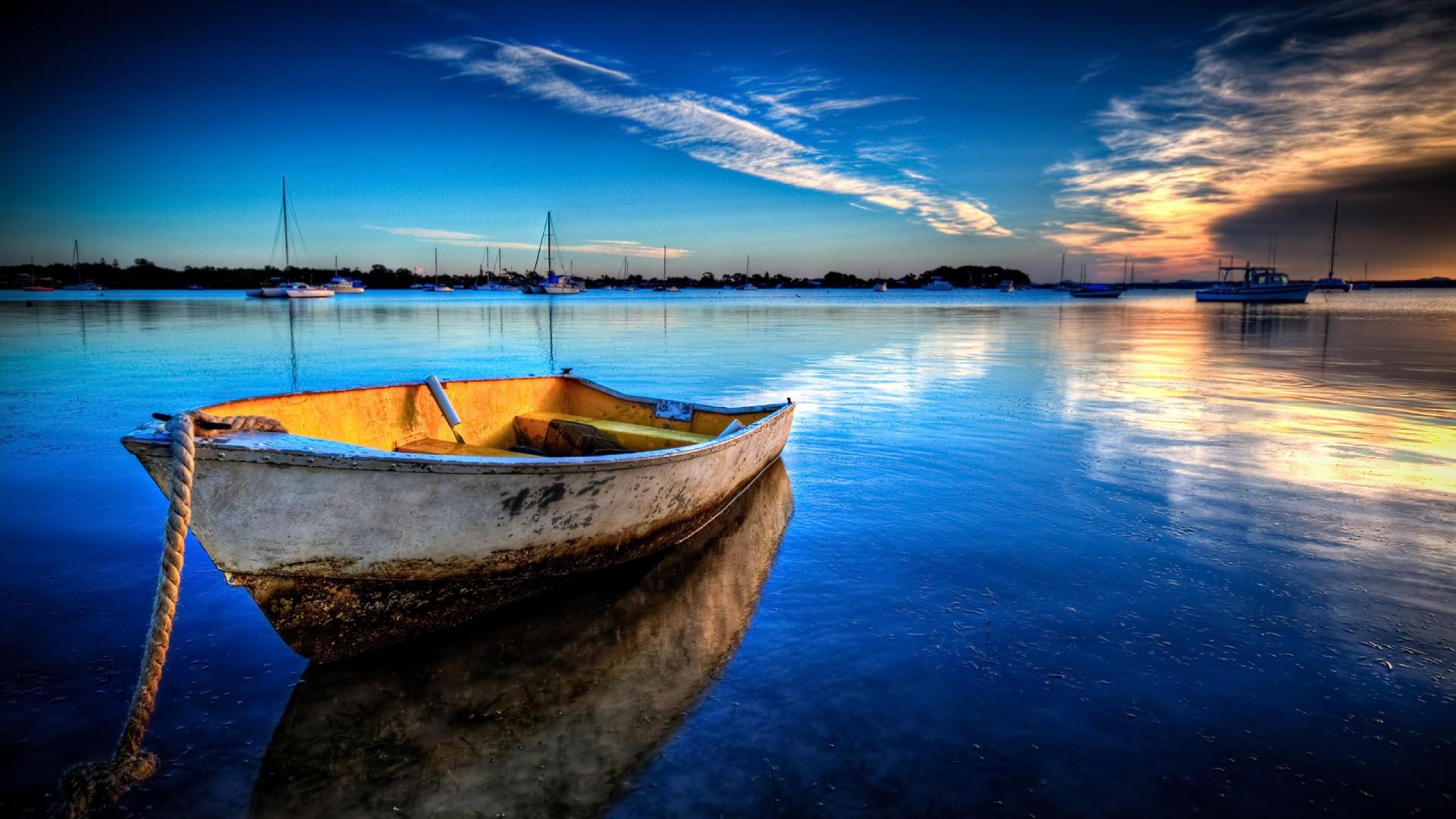 Skiff: A fishing boat, A vessel that's designed for catching fish in various bodies of water. 2560x1440 HD Wallpaper.