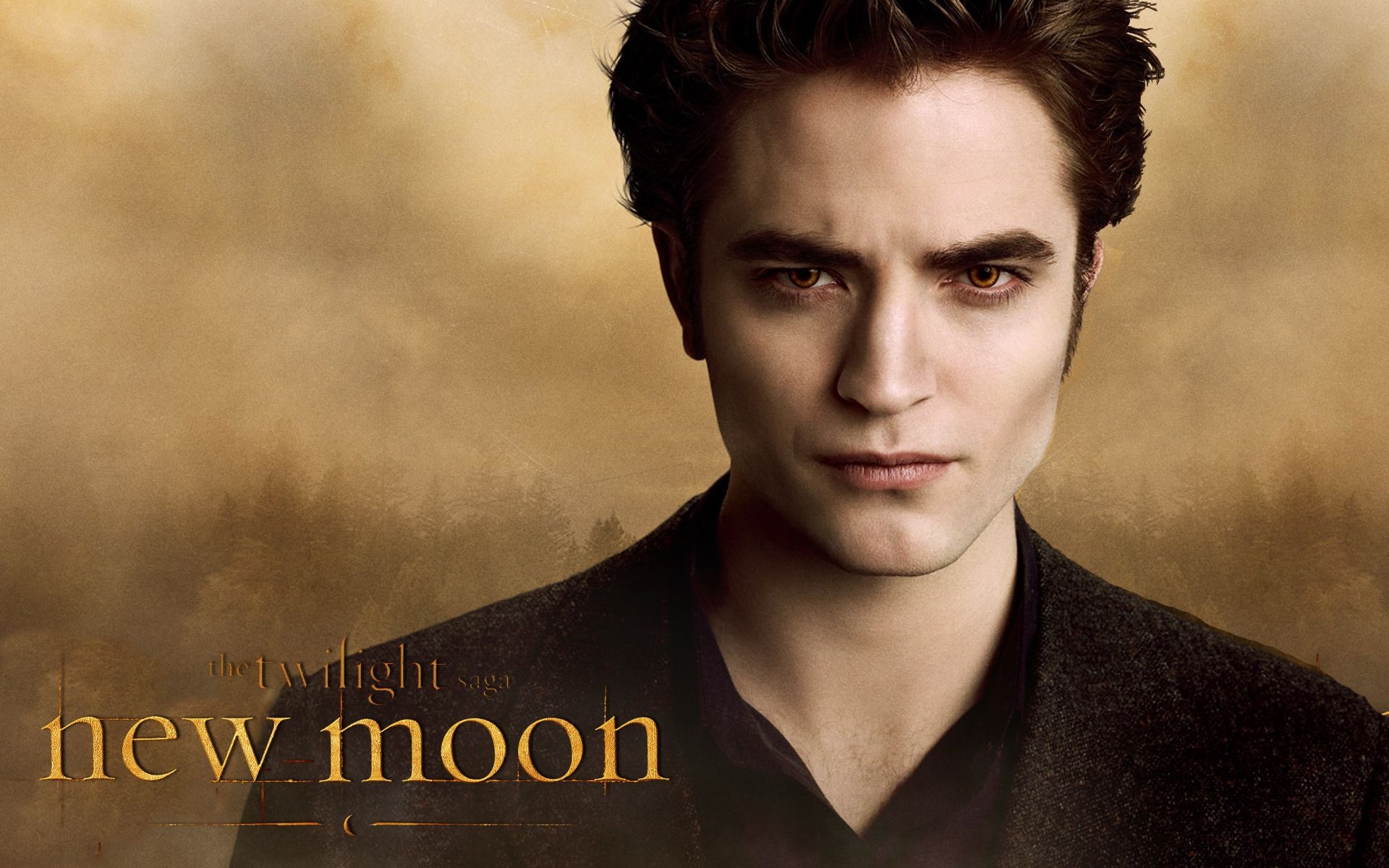 Edward Cullen, Twilight saga, Romantic vampire, Iconic character, 1920x1200 HD Desktop
