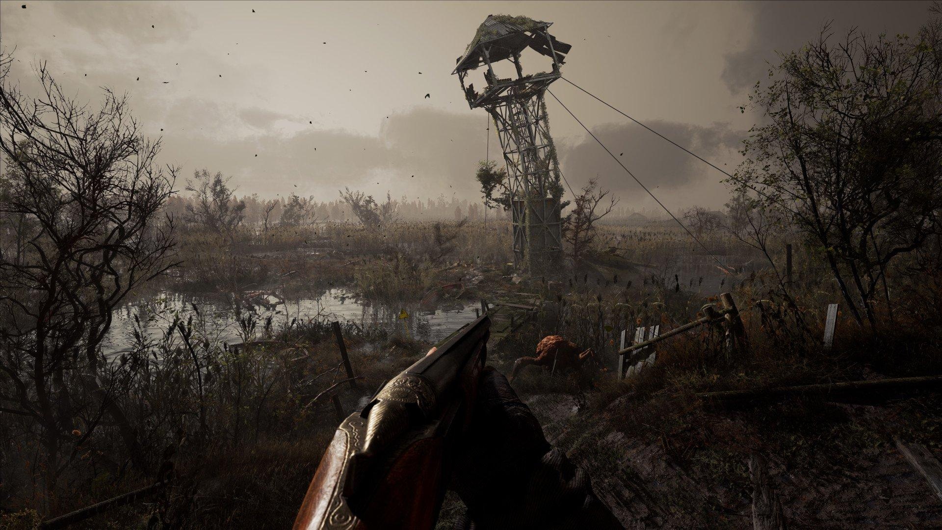 S.T.A.L.K.E.R. 2: The Great Swamps area, TOZ-34 gameplay demonstration, Flesh. 1920x1080 Full HD Wallpaper.