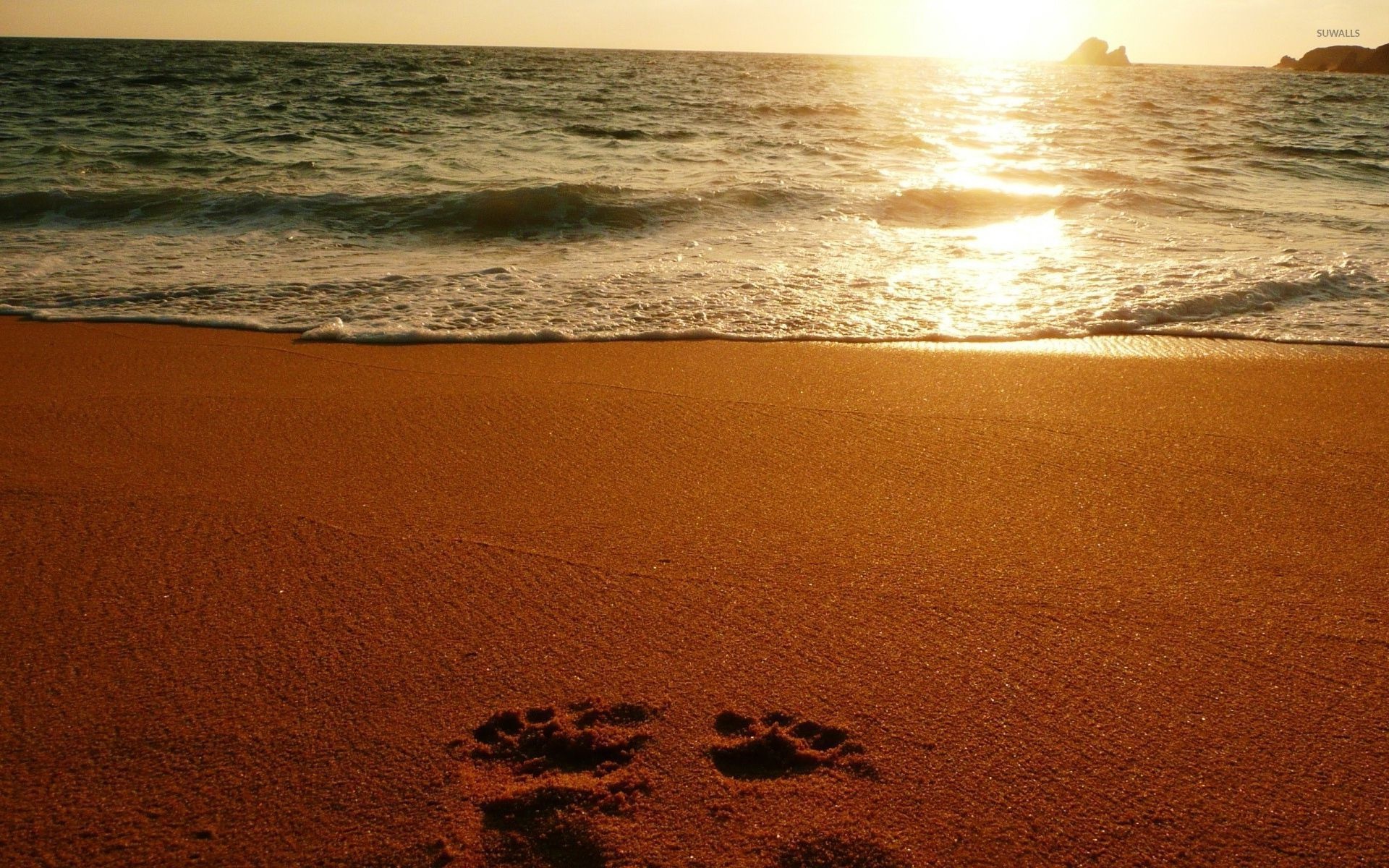 Footprints on Sandy Beach, Beach wallpapers, 1920x1200 HD Desktop