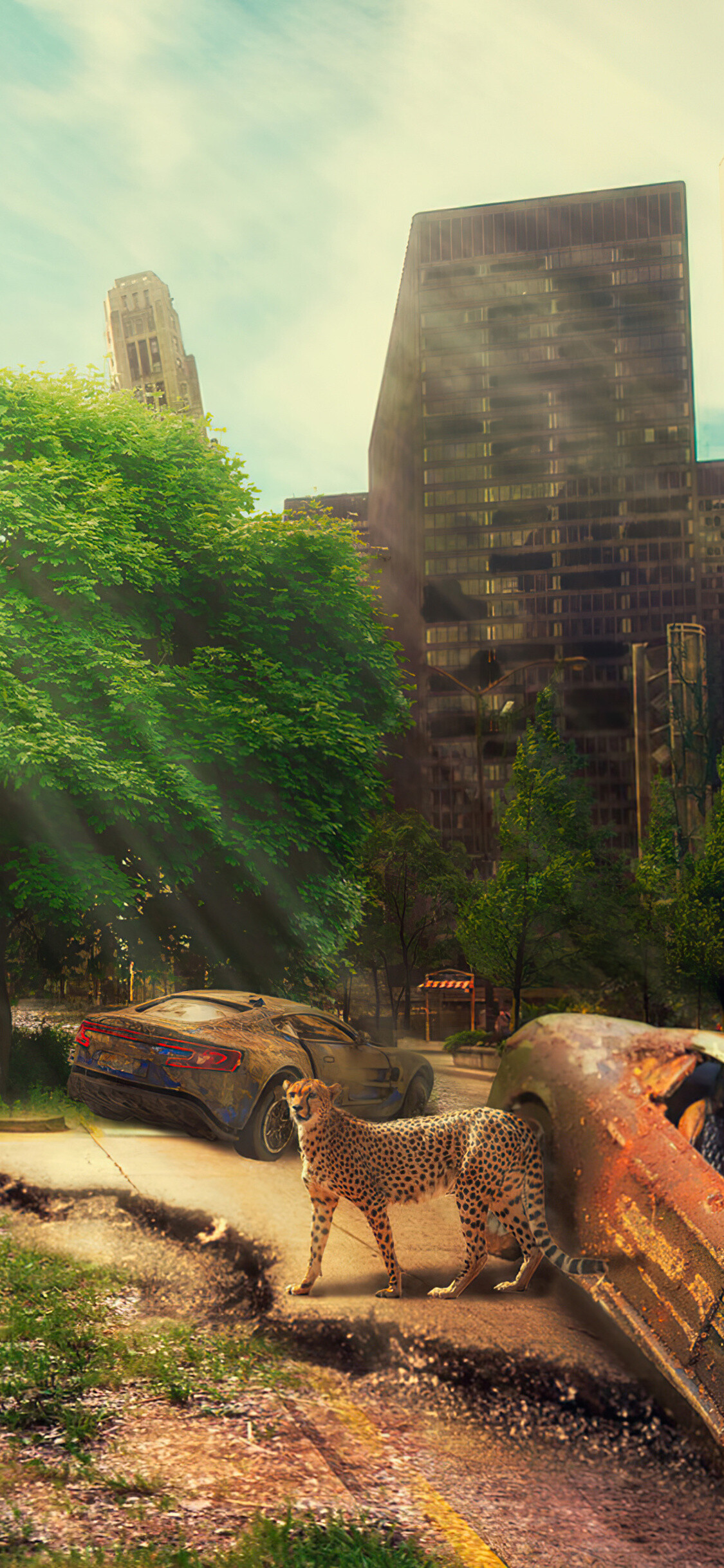 Post-apocalypse: Apocalyptic landscape, Metropolis. 1130x2440 HD Wallpaper.