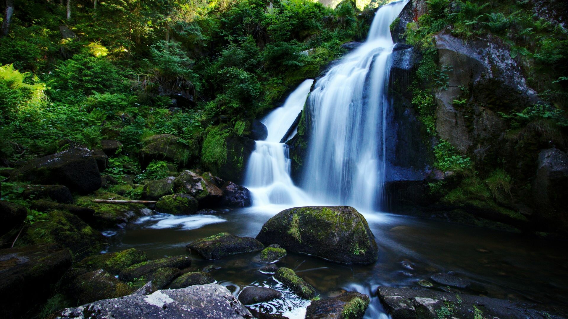 Waterfall: Rocks, Forest, Nature, Triberg, River, Creek. 1920x1080 Full HD Wallpaper.