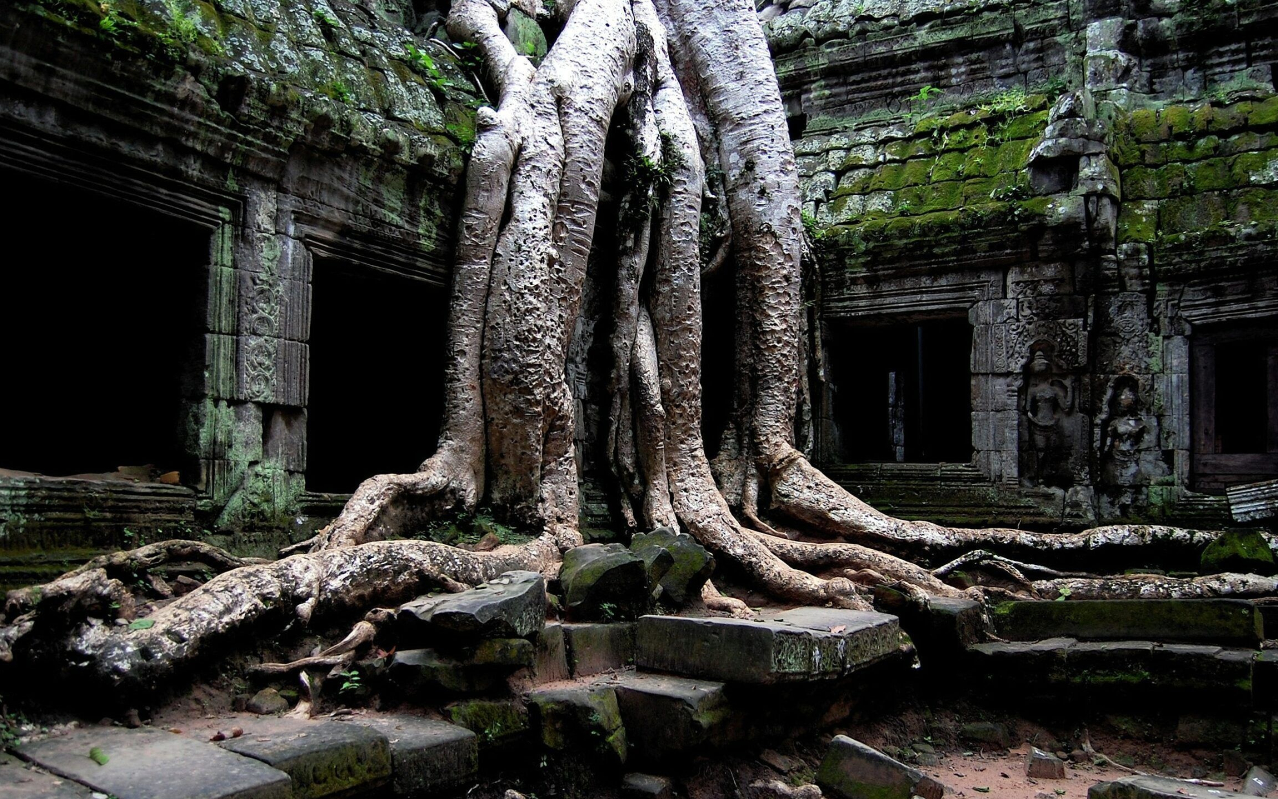 Angkor Wat, Desktop wallpapers, WallpaperAccess, 2560x1610 HD Desktop