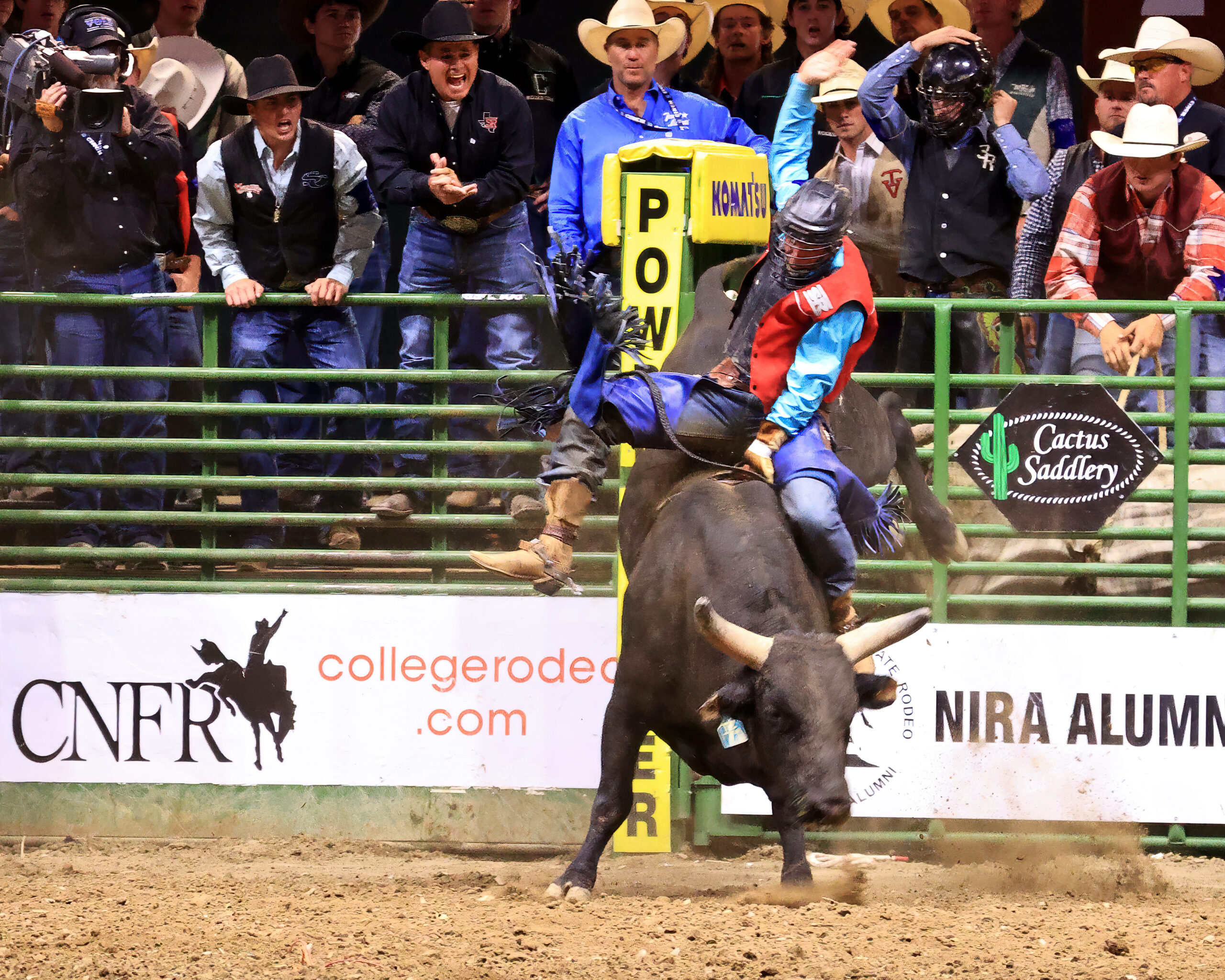Bullriding: CNFR, Tristen Hutchings, Bull Riding Champion, College National Finals Rodeo. 2560x2050 HD Background.