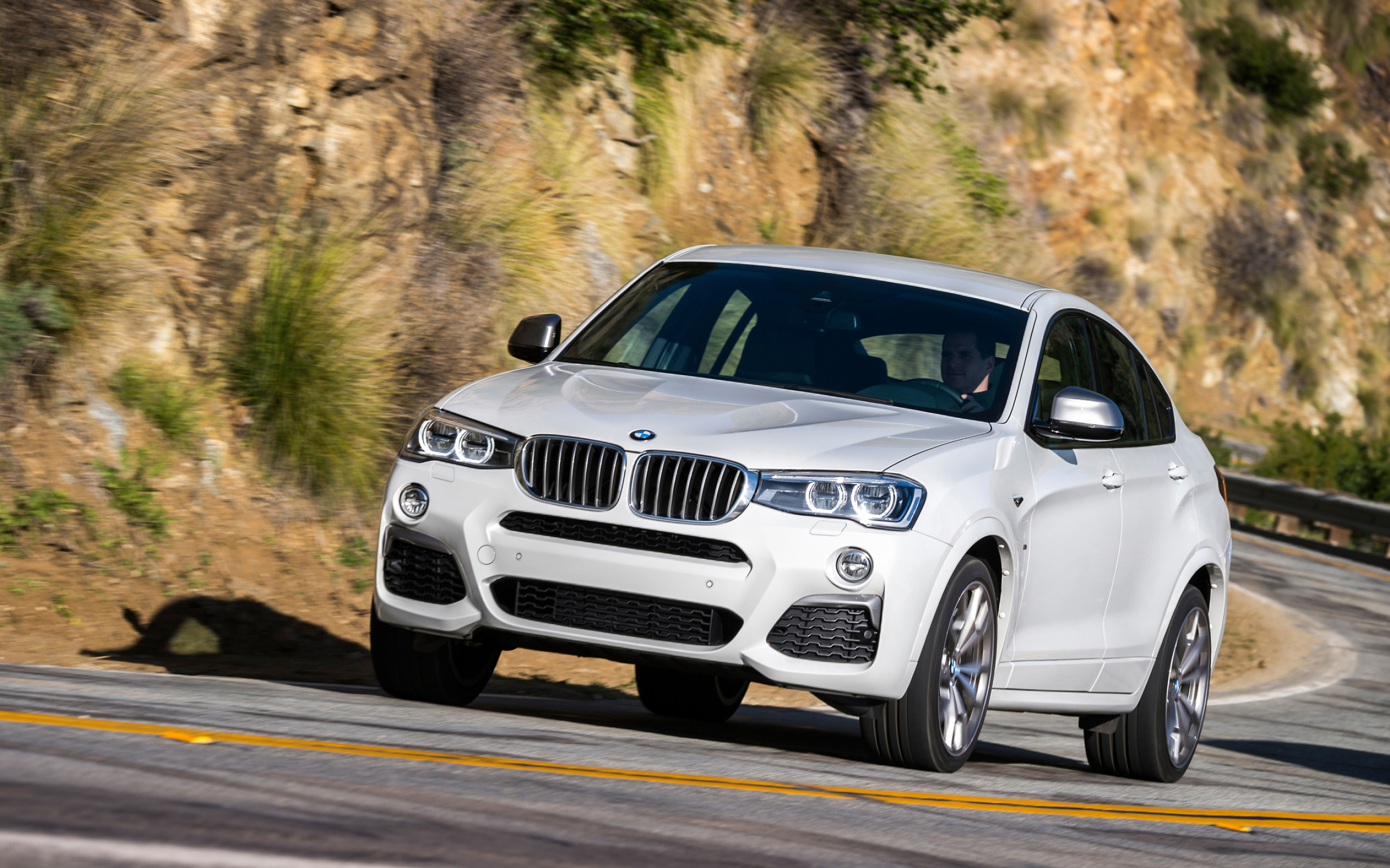 BMW X4, Dynamic design, Cutting-edge technology, Unmatched power, 2560x1600 HD Desktop