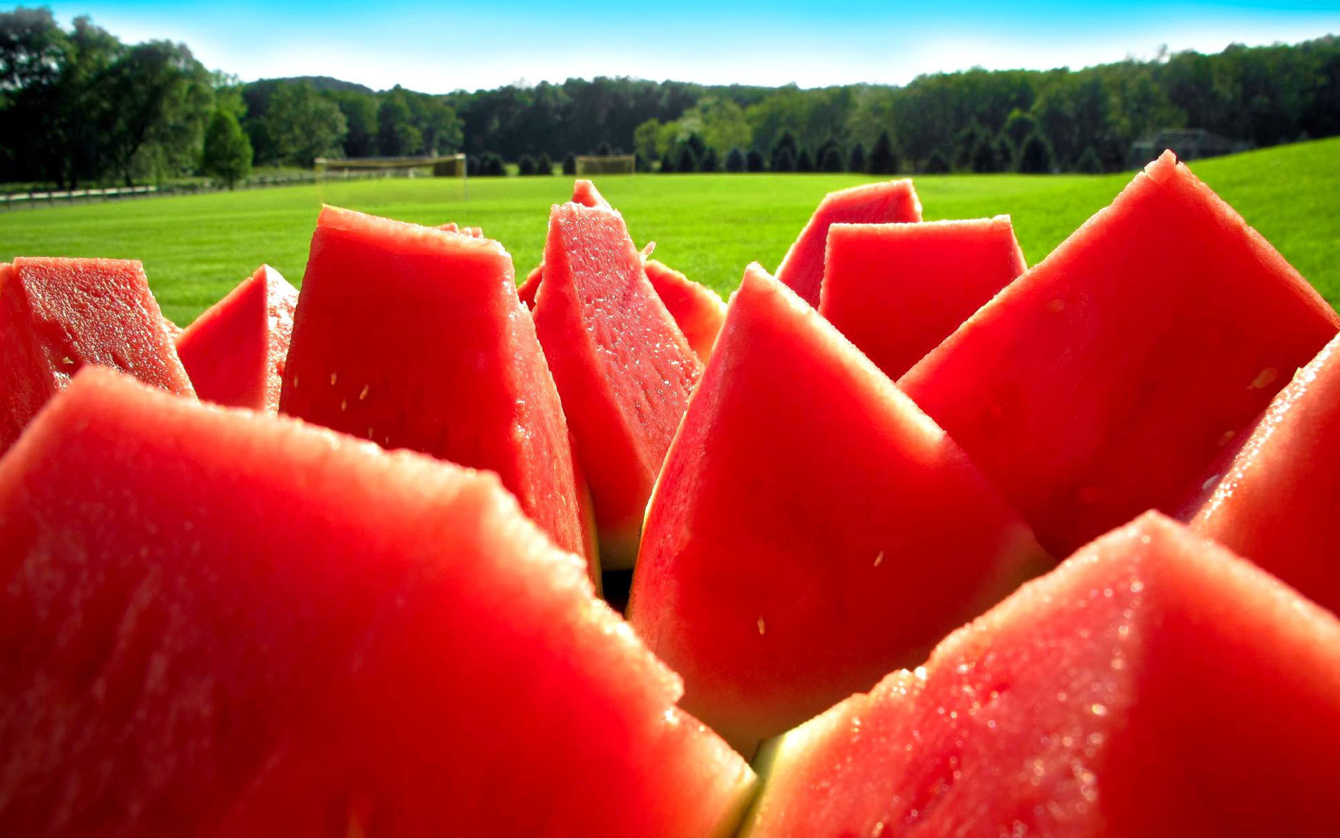 Watermelon: The perfect sweet treat that is nutritious and tasty. 1920x1200 HD Background.