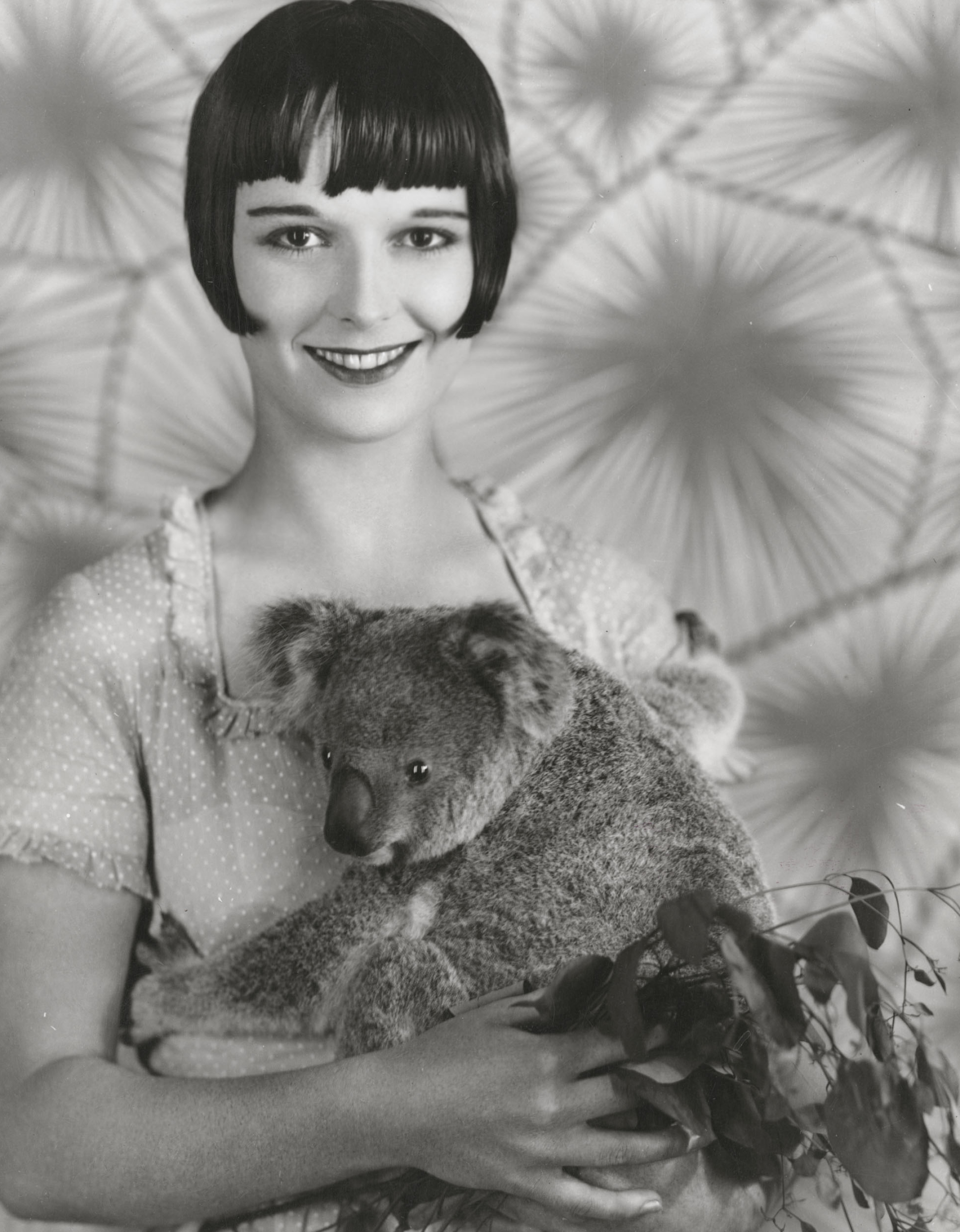 Louise Brooks, Archie the Koala, Expert in Louise Brooks, 2160x2780 HD Handy