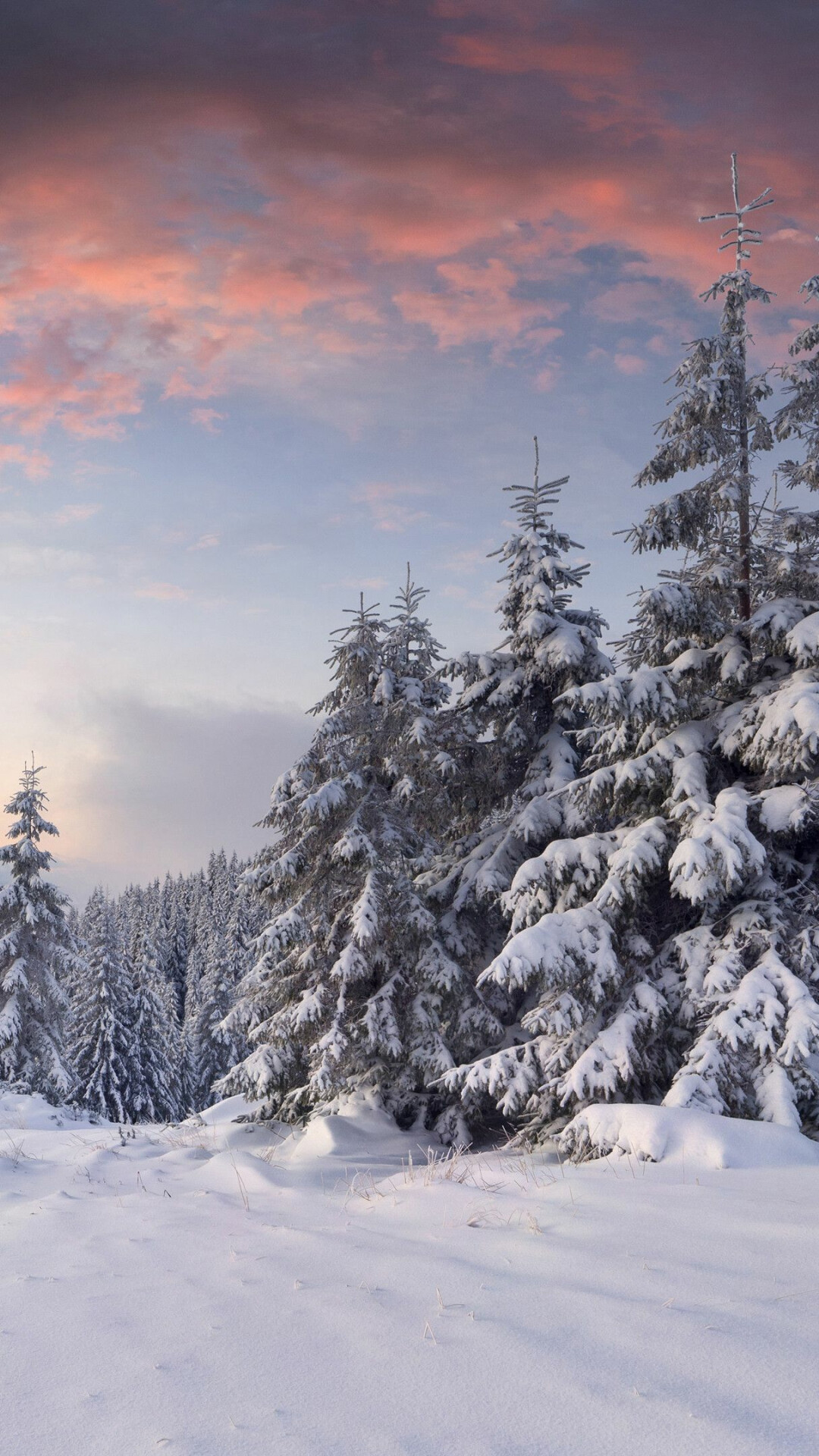 Winter: Seasonal changes, Snow cover, Wintry landscape. 1080x1920 Full HD Background.