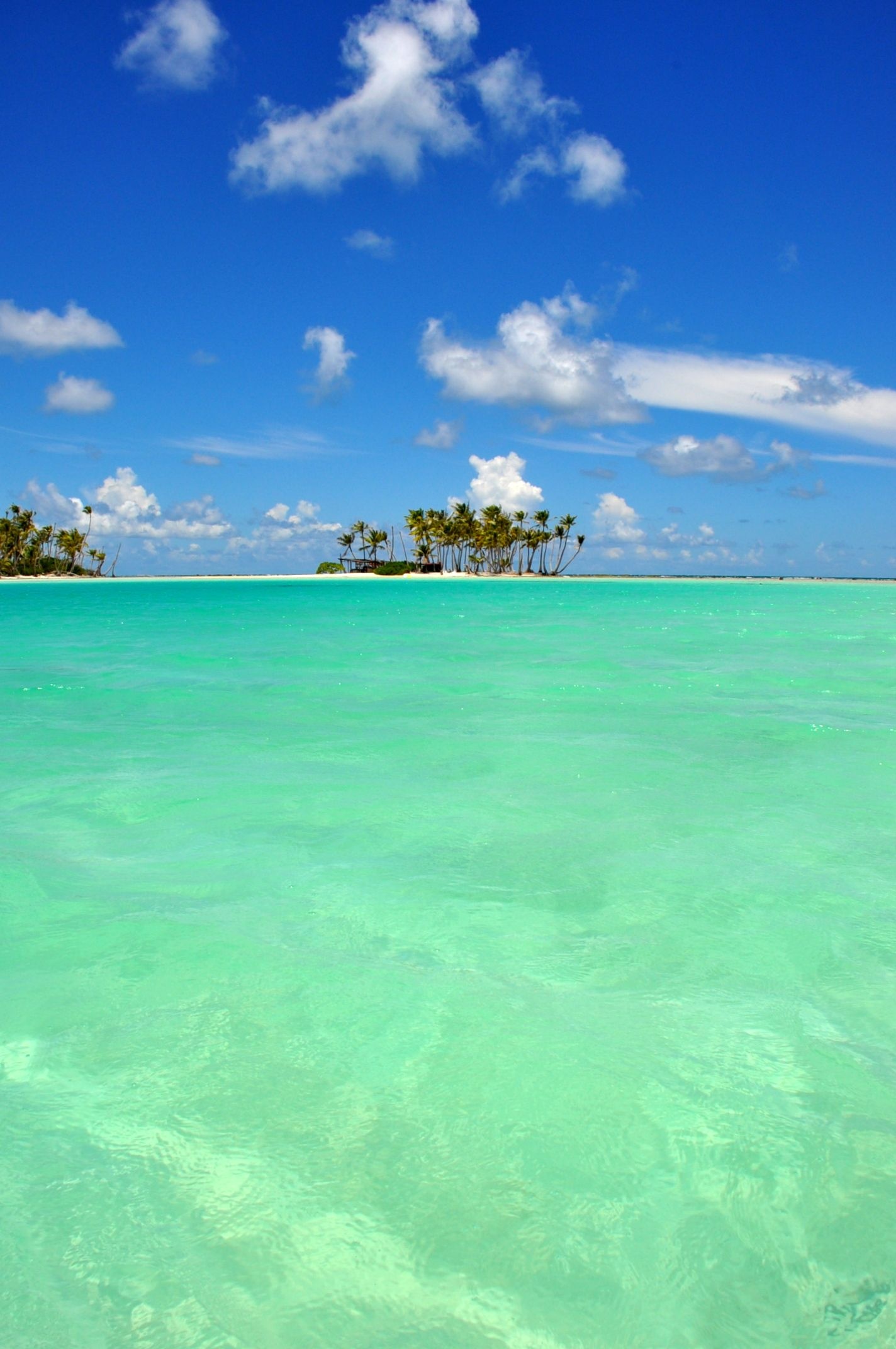 Rangiroa Atoll, Free download, Polynesian beauty, Paradise scenery, 1430x2150 HD Handy