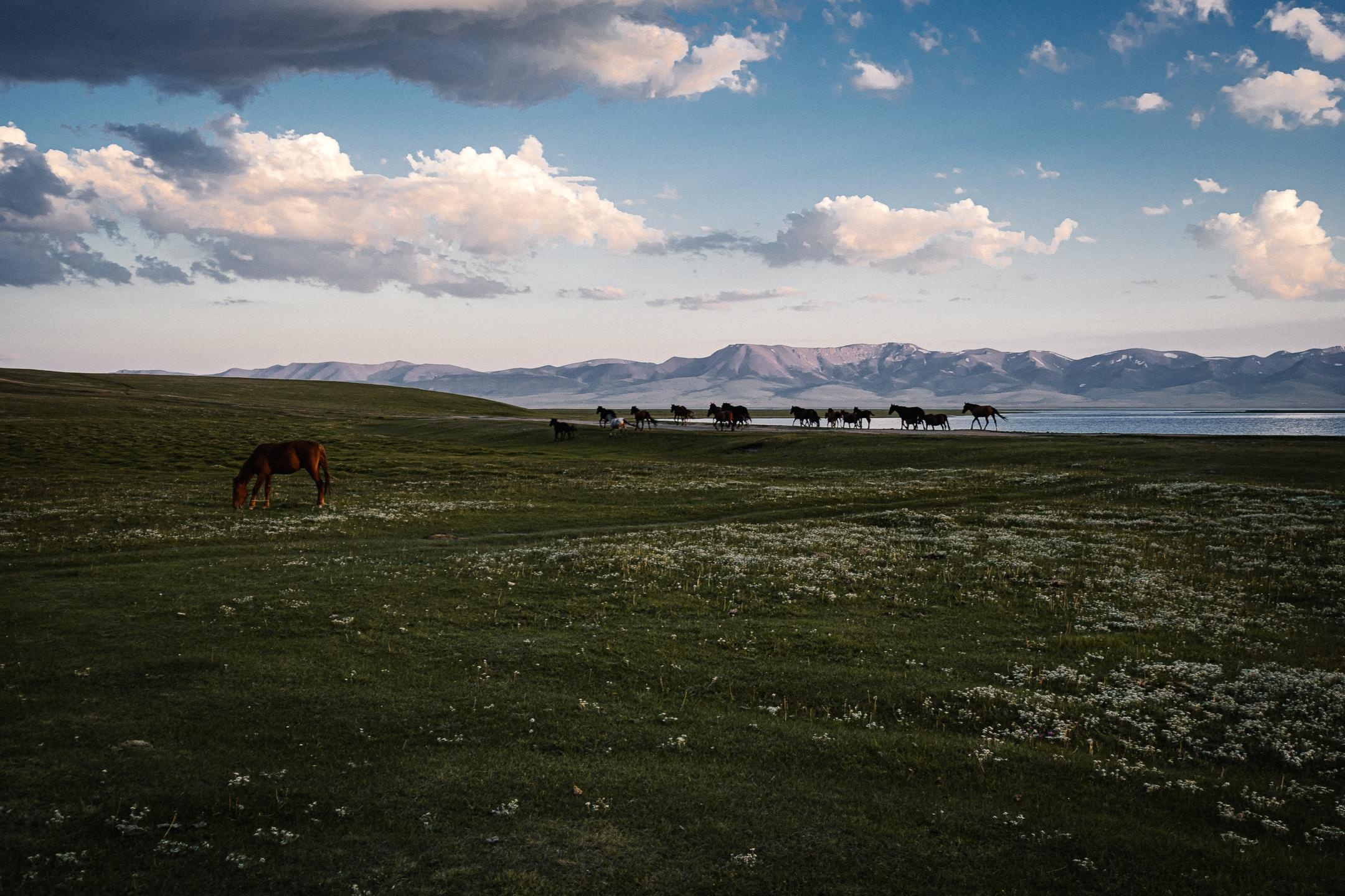 Issyk-Kul, Kyrgyzstan summer travel, Exquisite landscapes, Memorable experiences, 2160x1440 HD Desktop