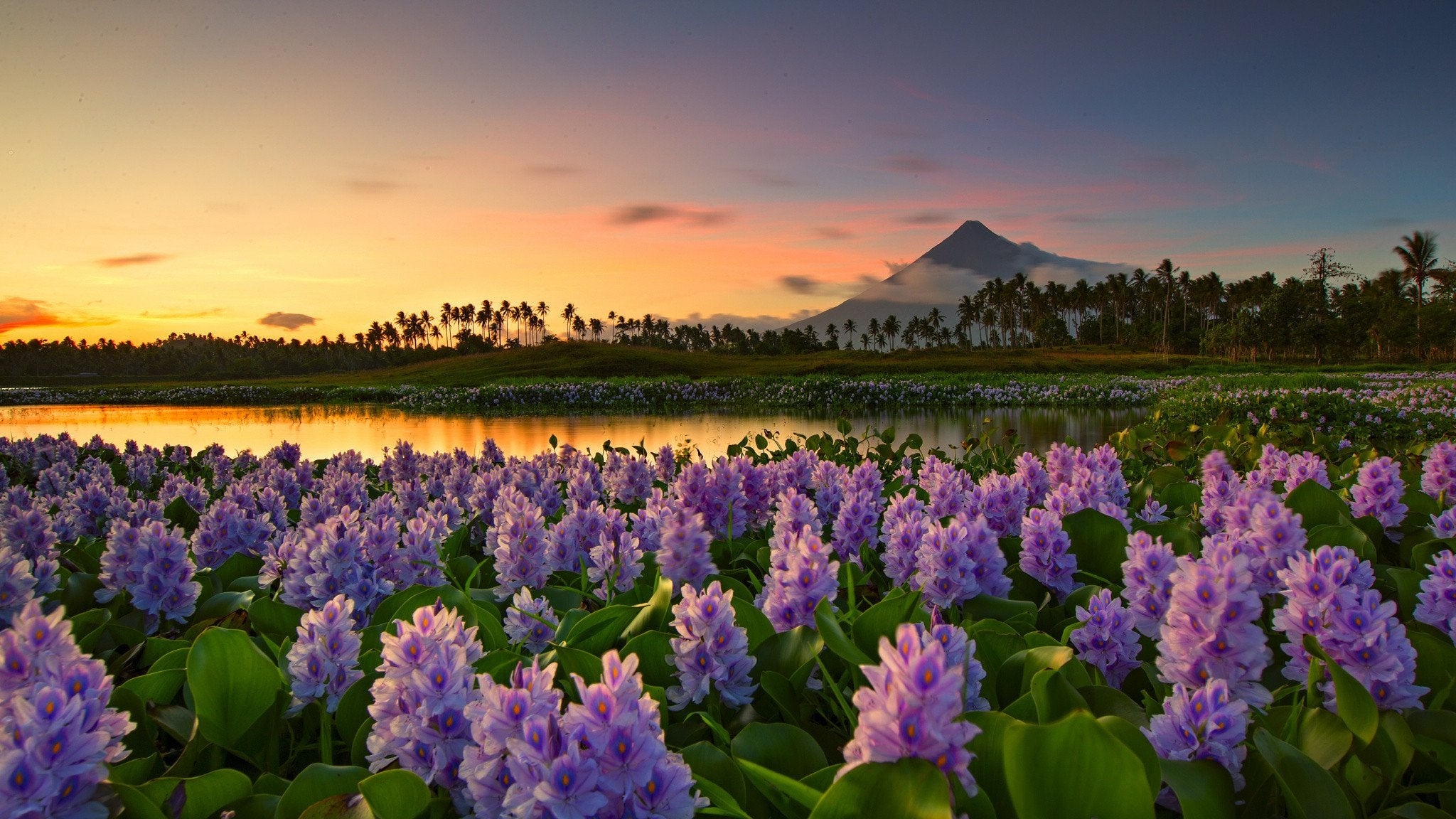 Mayon Volcano, Philippines, Travels, Natural wonder, 2050x1160 HD Desktop
