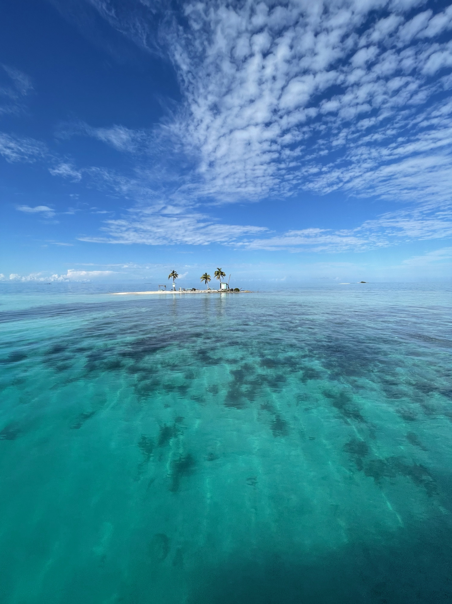 Silk Caye, Belize, Underwater proposal, Splash Dive Center, 1440x1920 HD Phone