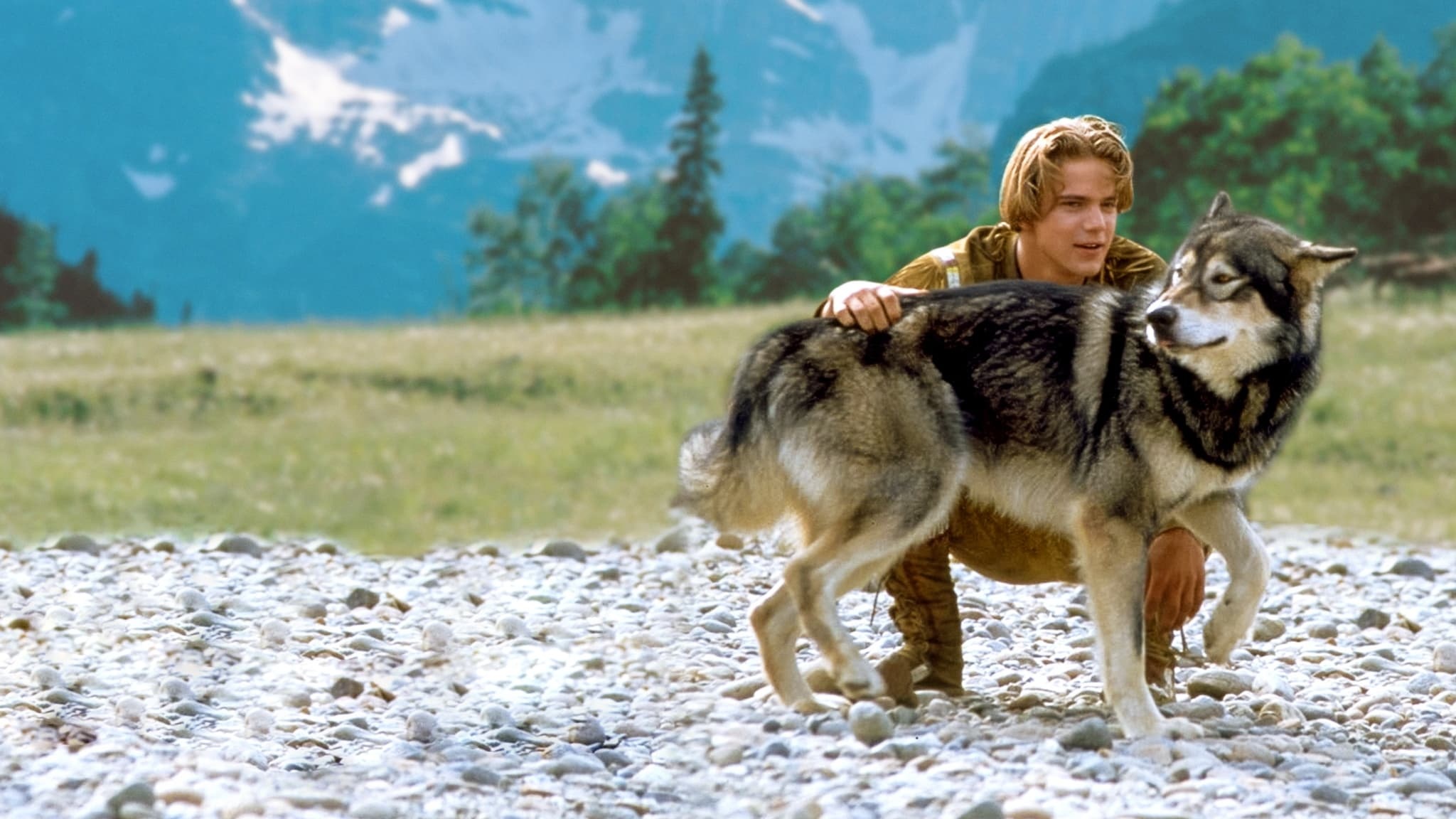 White Fang (Movie), White Fang 2, Myth of the White Wolf, 1994, 2050x1160 HD Desktop