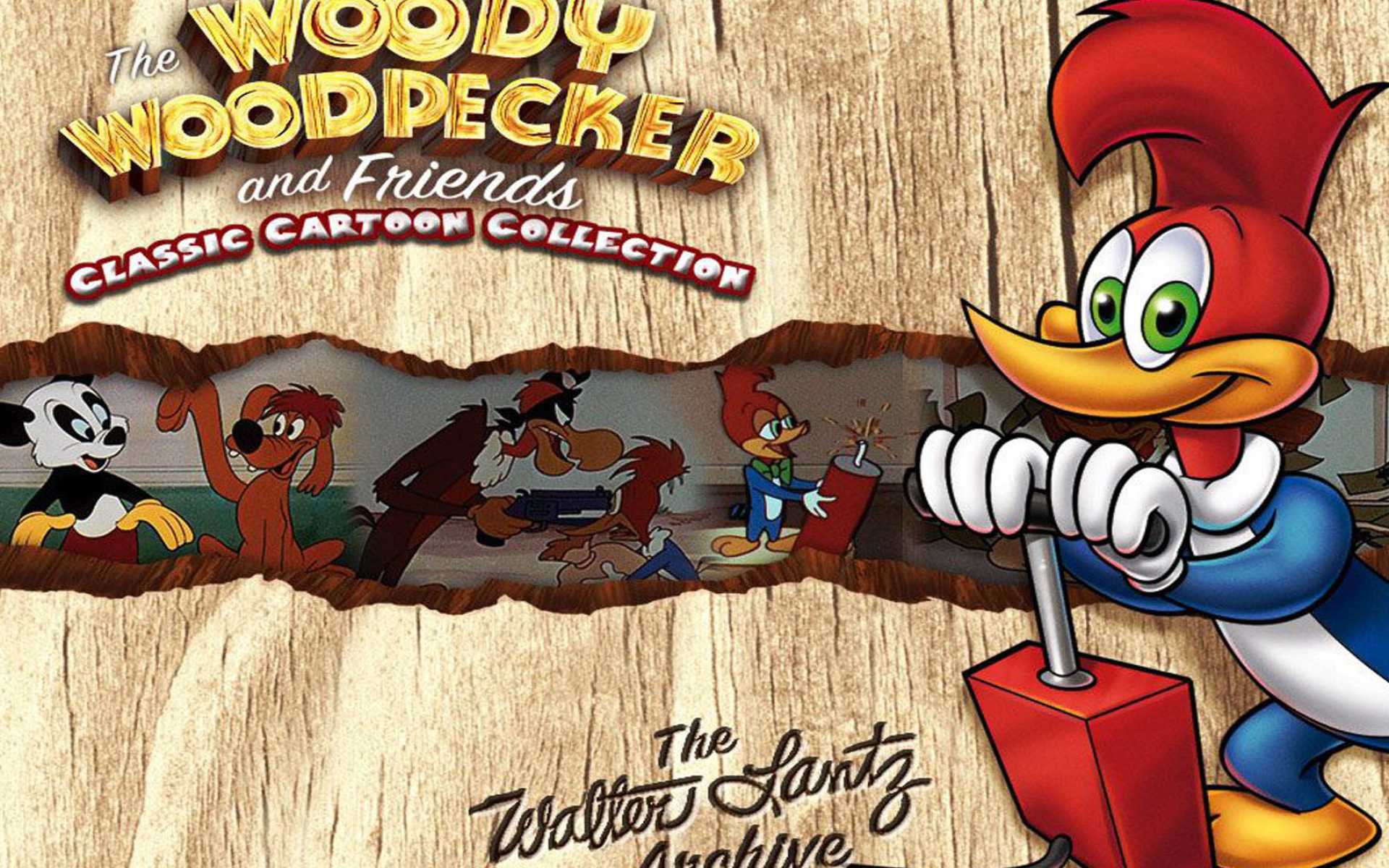 Woody Woodpecker, High definition wallpapers, Desktop and mobile, Animated entertainment, 1920x1200 HD Desktop