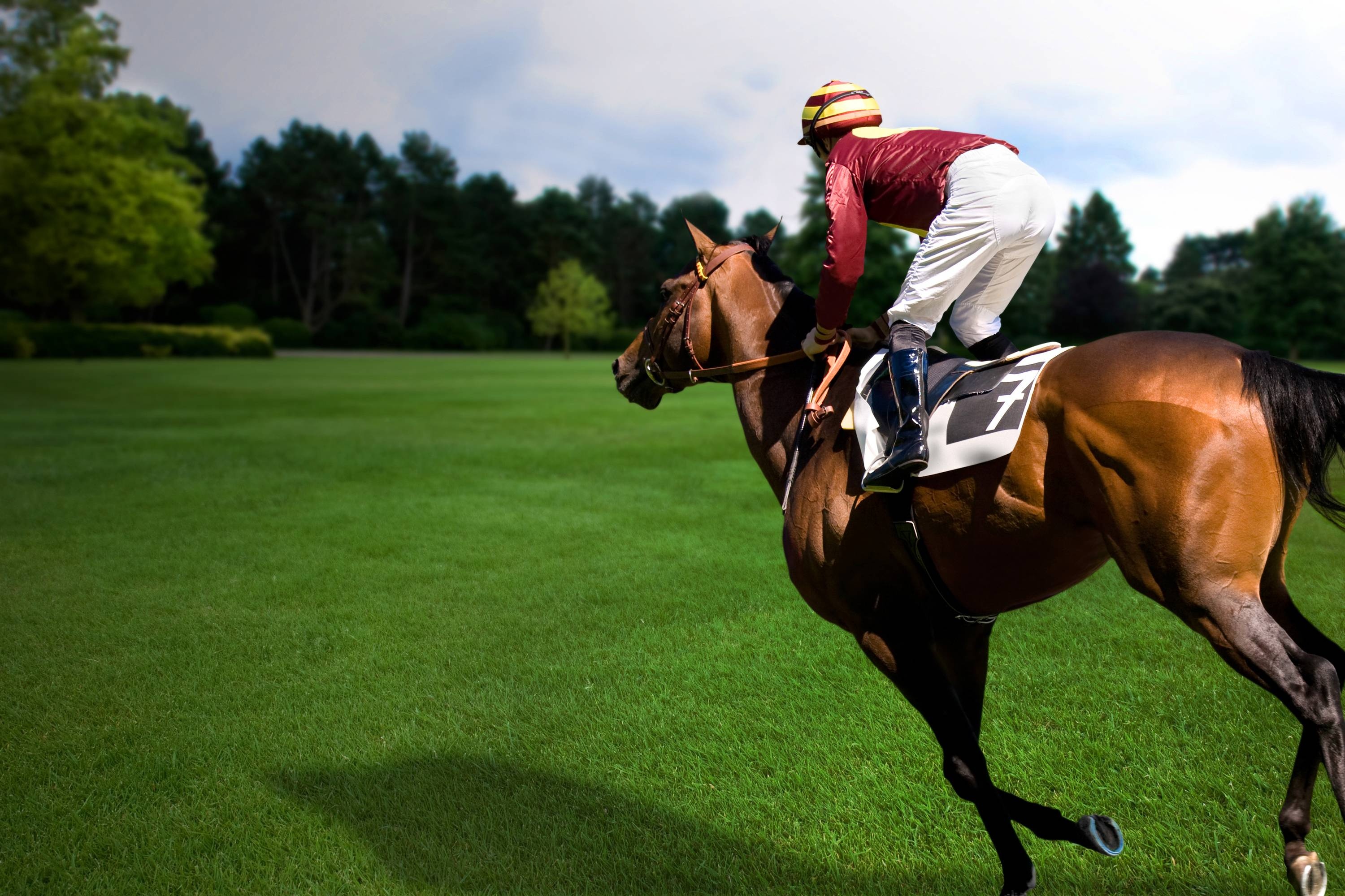 Equestrian Sports: Endurance riding, A discipline based on controlled long-distance races. 3000x2000 HD Background.