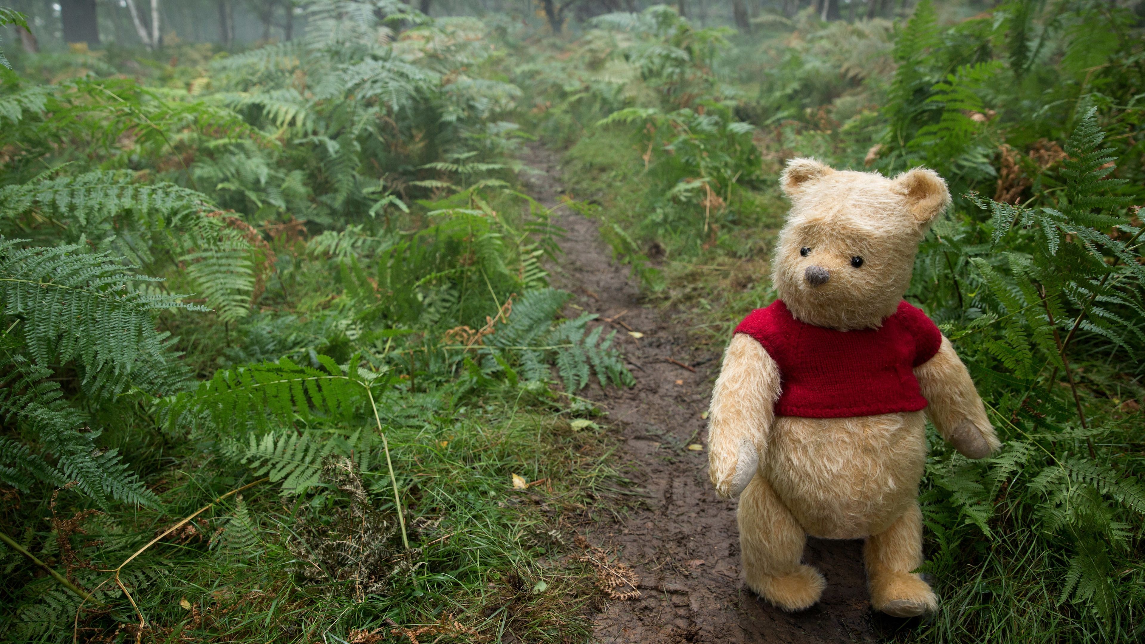 Christopher Robin (Movie): Winnie the Pooh, a honey-loving teddy bear who lives in the Hundred Acre Wood. 3840x2160 4K Wallpaper.