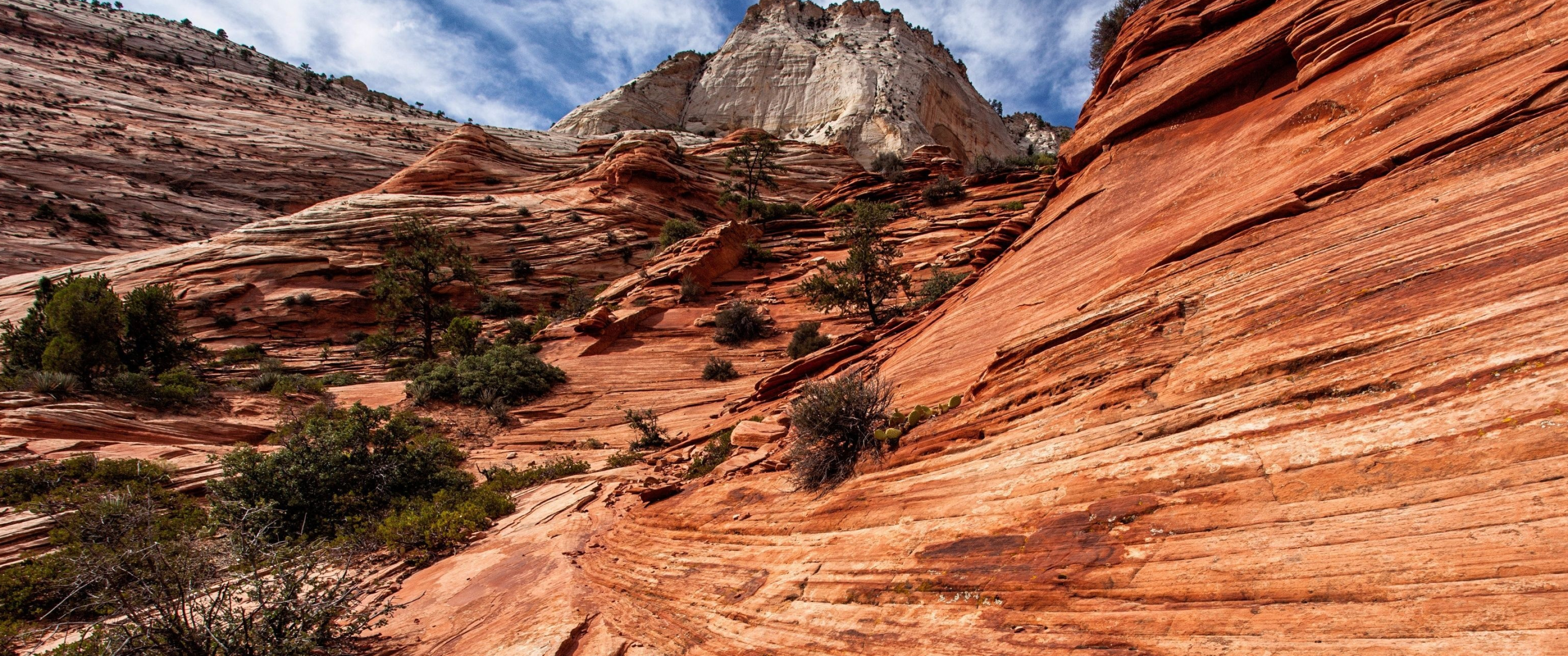 Zion National Park, Cool wallpapers, 2022's best, Zion in all its glory, 3440x1440 Dual Screen Desktop