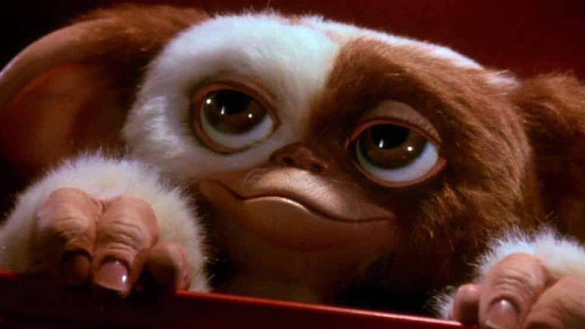 Gremlin Gizmo: Giz, An adorable, very kind Mogwai who is part of Billy Peltzer’s life. 1920x1080 Full HD Background.