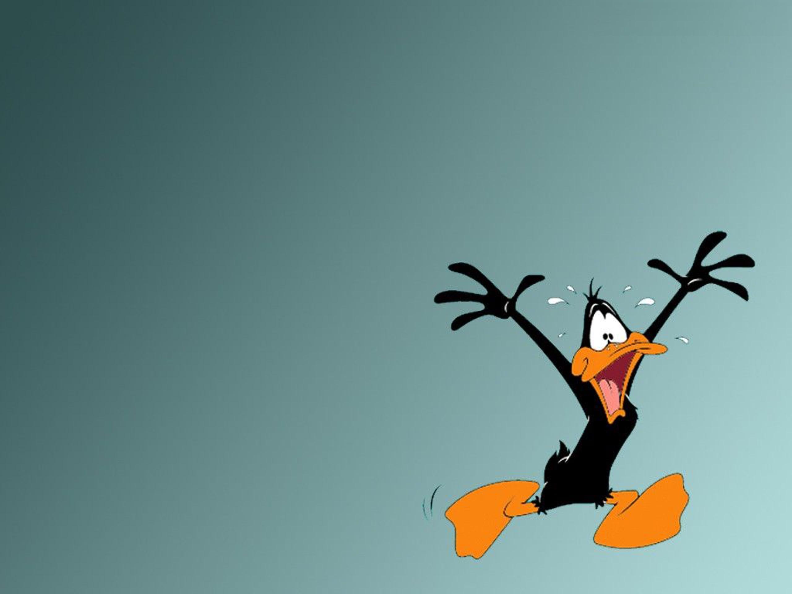 Daffy Duck wallpapers, Looney Tunes, Cartoon character, 2560x1920 HD Desktop