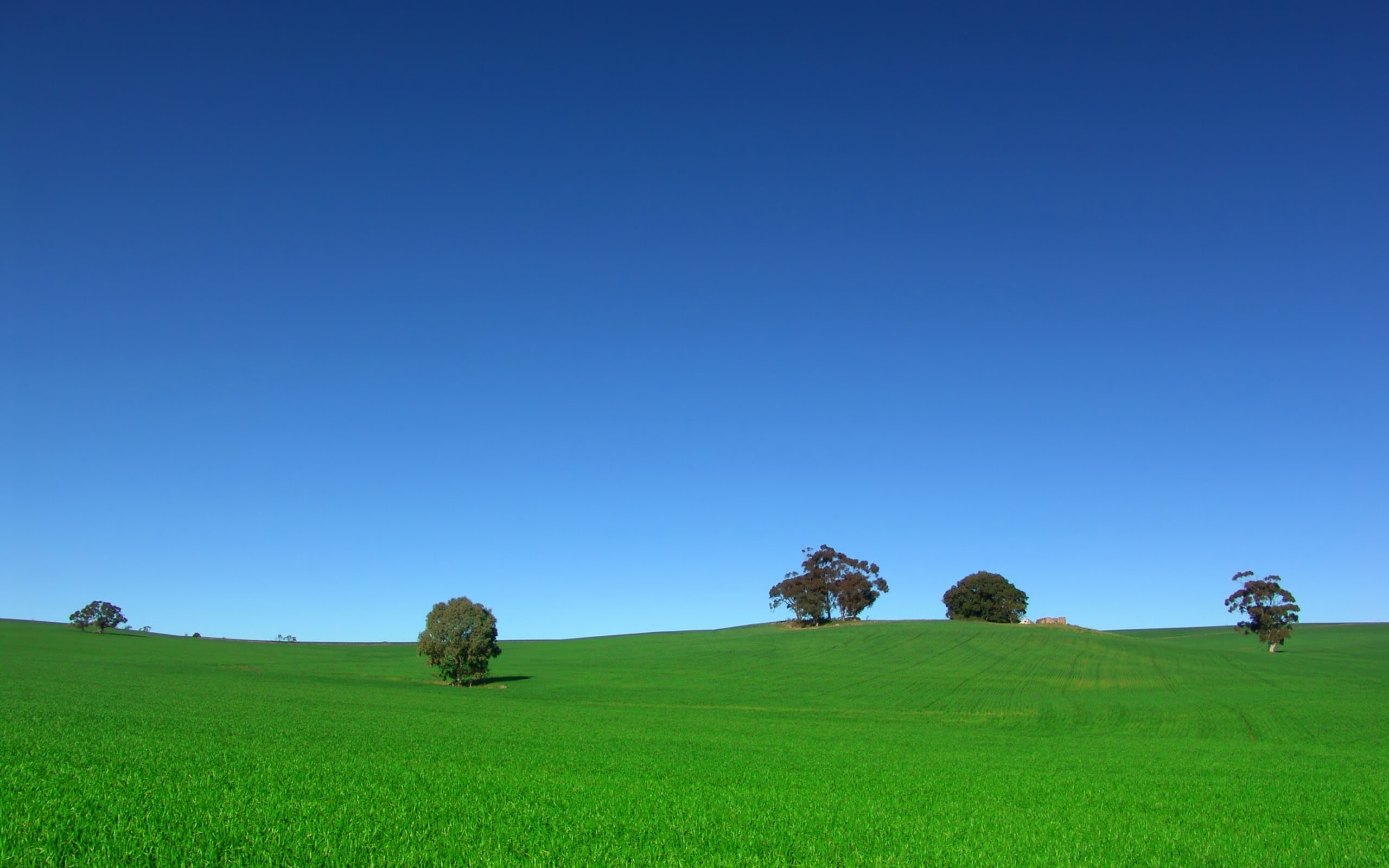 Grassland: Unspoiled area, Secluded spot, Remote place, Grazing land, Horizon. 2560x1600 HD Wallpaper.