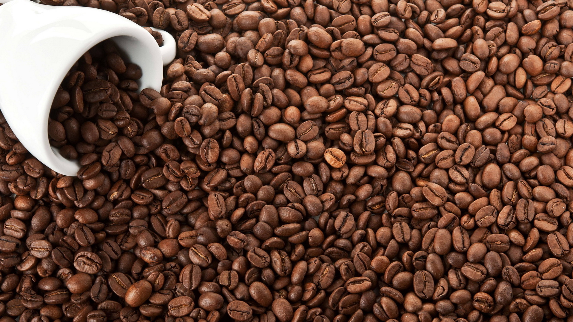 Coffee: A brewed beverage made from the roasted seeds, Arabica, Robusta. 1920x1080 Full HD Background.