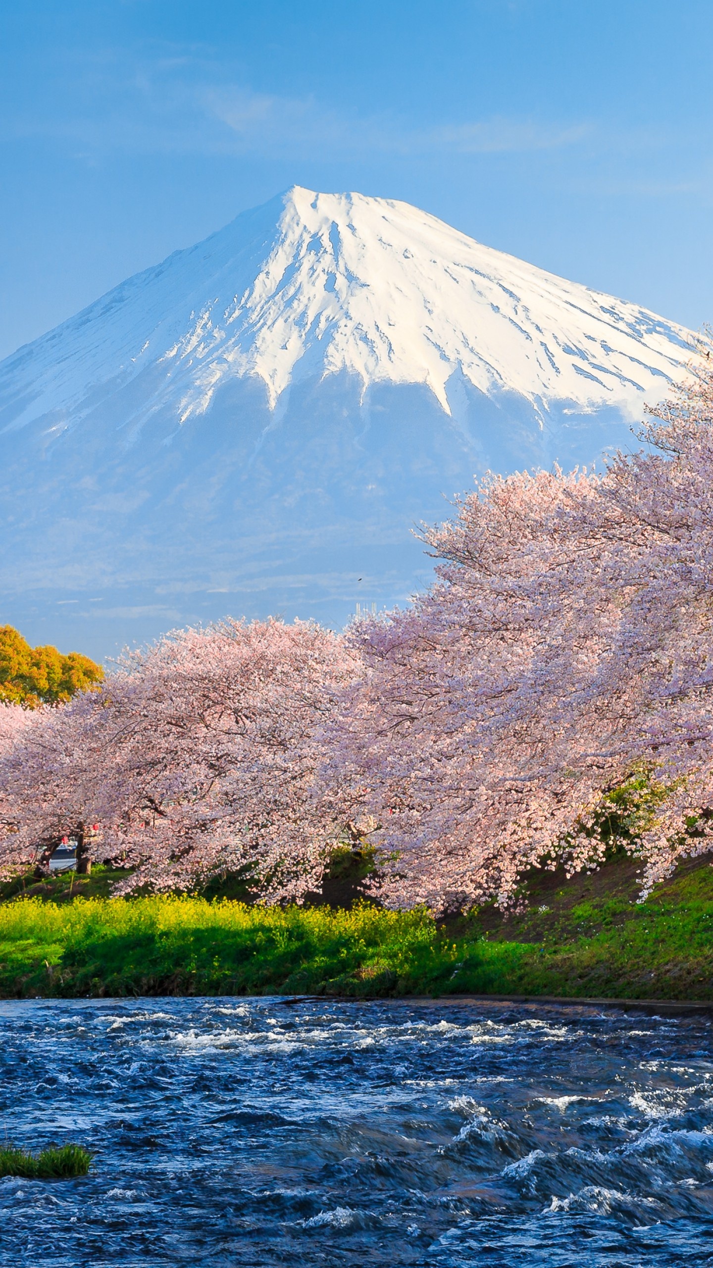 Mount Fuji, Travels, 4K Wallpapers, Popular, 1440x2560 HD Phone