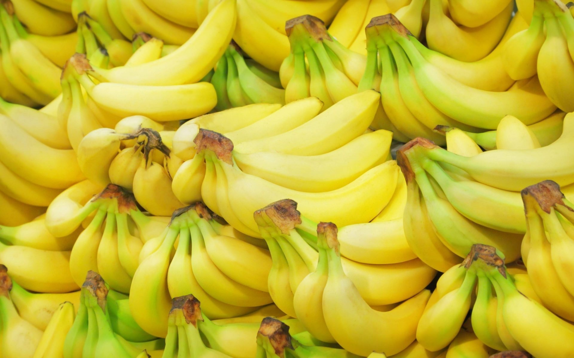 Fresh, High-quality, Banana fruits, Bunch, 1920x1200 HD Desktop