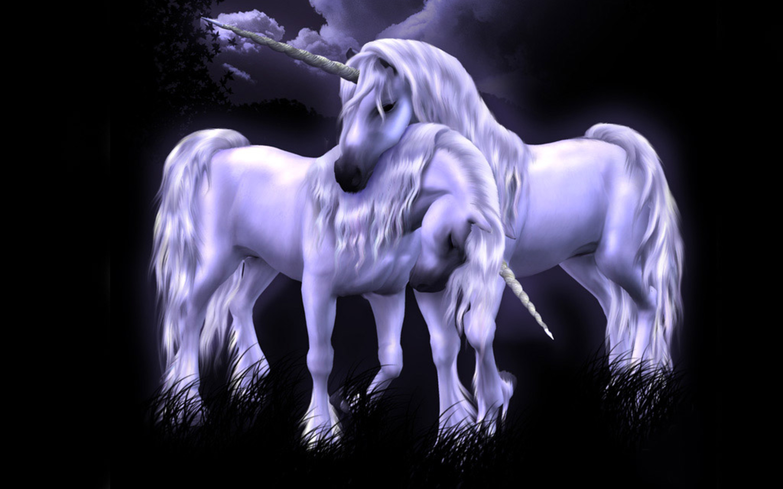 Fantasy unicorn wallpapers, Whimsical world, Magical journeys, Stunning visuals, 2560x1600 HD Desktop