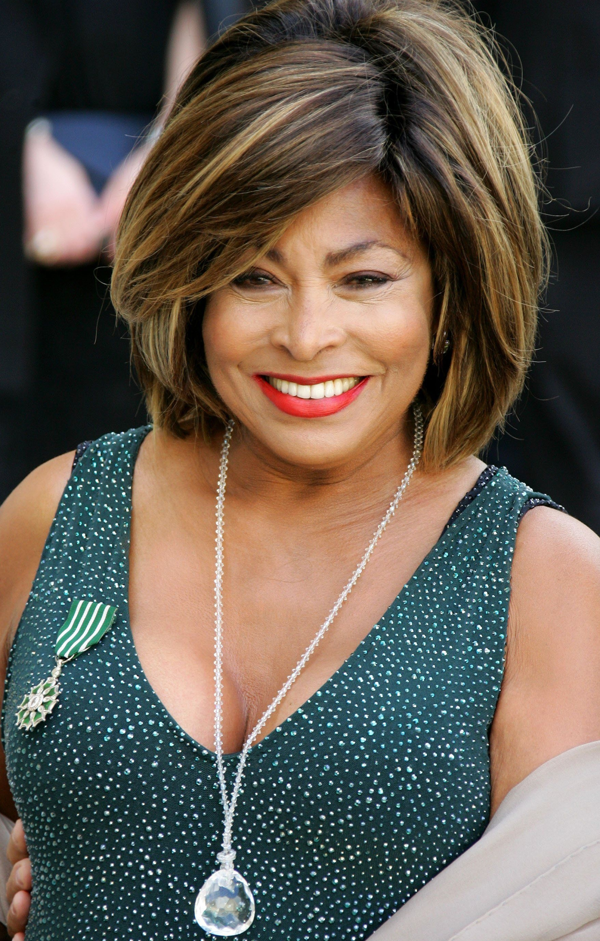 Tina Turner, 4K resolution, Celebs, High quality, 1950x3060 HD Handy