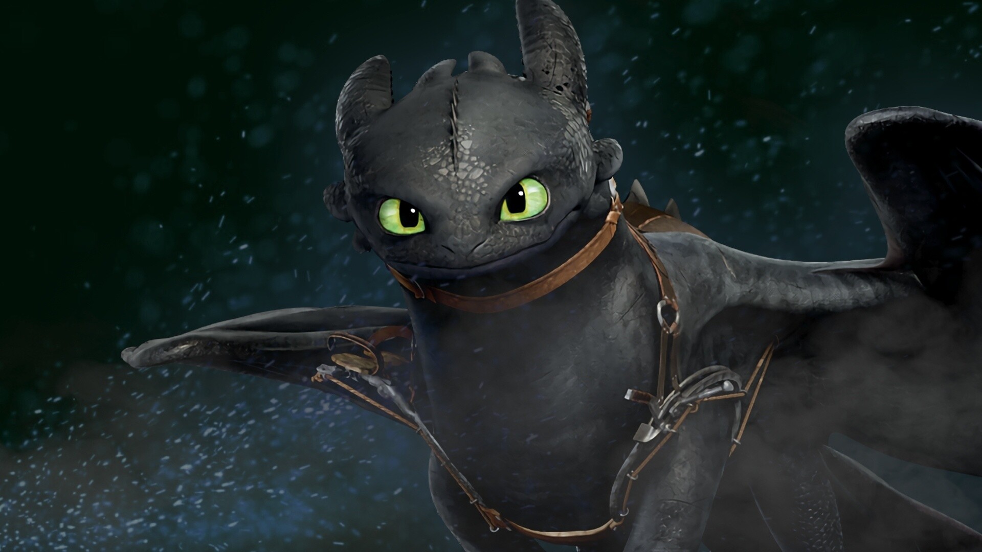 How to Train Your Dragon: The story about dragons and vikings, Toothless. 1920x1080 Full HD Wallpaper.