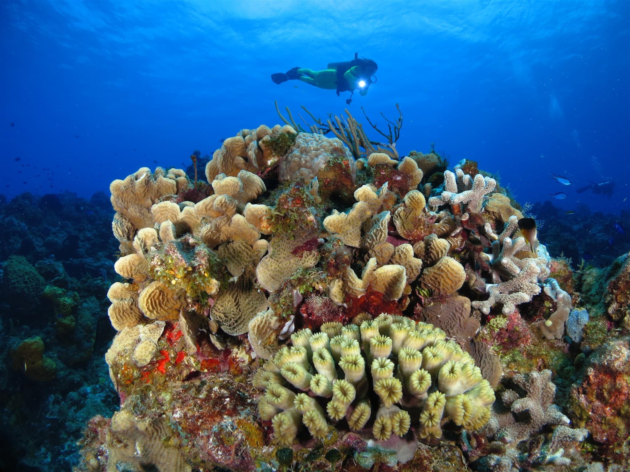 Caribbean Coral Reef Islands, Scuba diving paradise, Pristine underwater ecosystems, Breathtaking reefs, 2050x1540 HD Desktop
