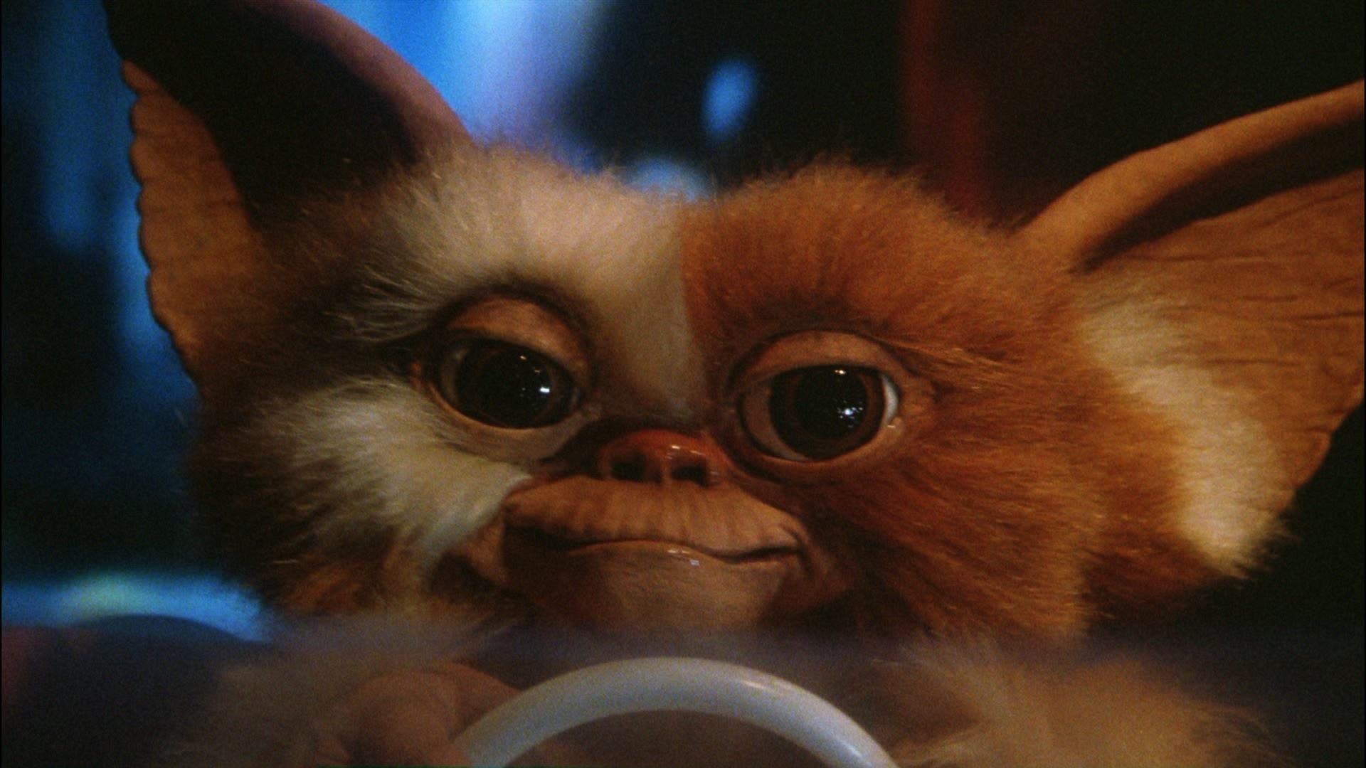 Gremlin Gizmo: Spawns new Mogwai from its back, if it gets wet, 1984 movie. 1920x1080 Full HD Background.