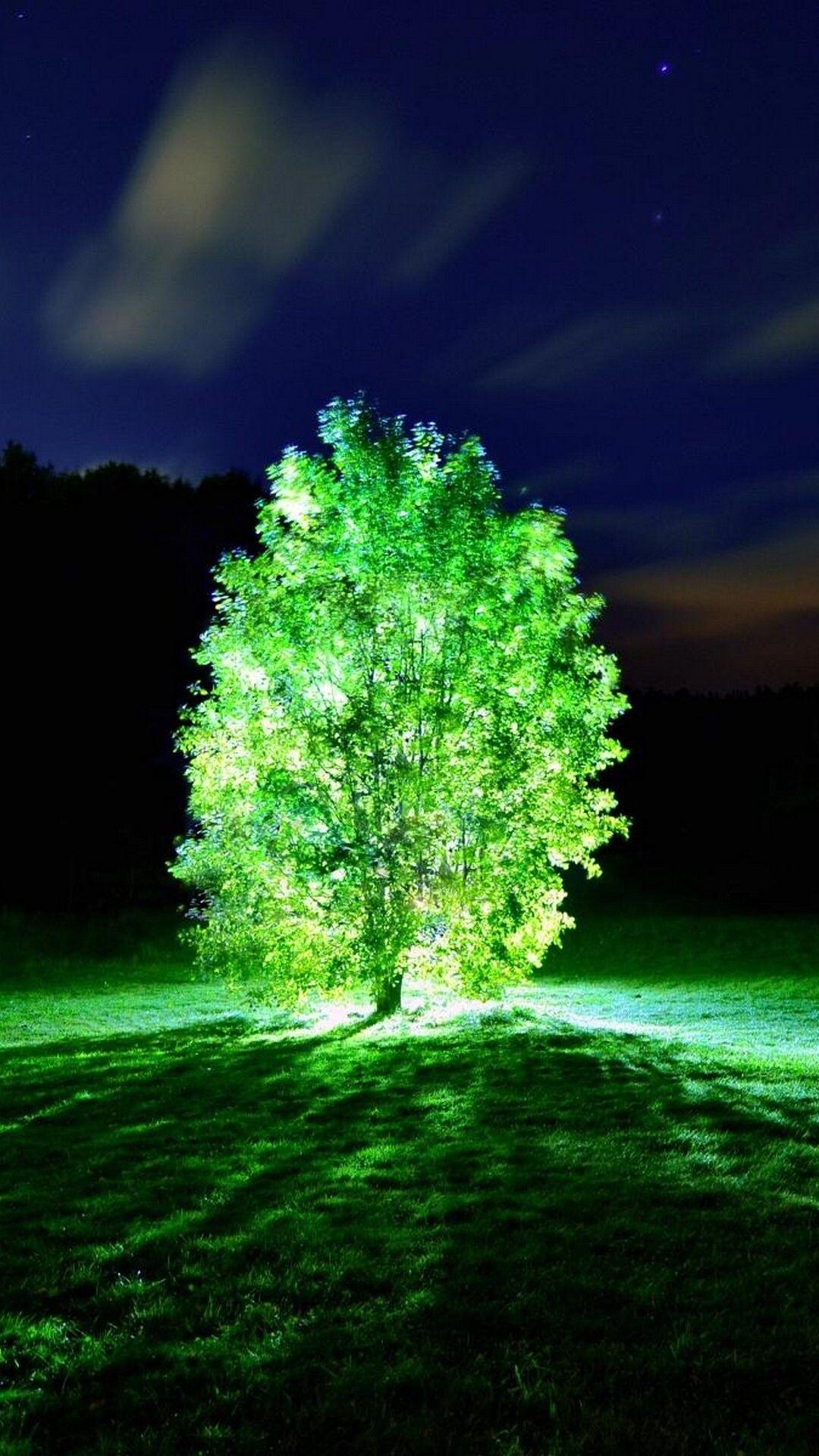 Glow in the Dark: Glowing tree, Neon lights, Minimalistic, Fluorescent park. 1080x1920 Full HD Background.