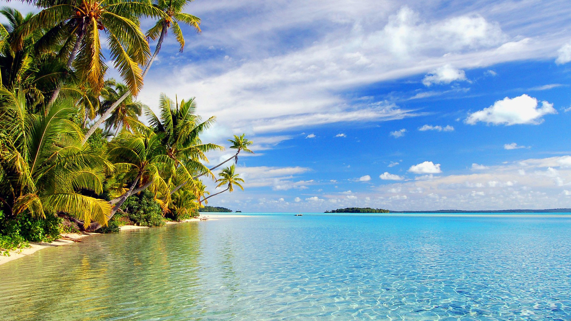Hawaiian beaches, Tropical paradise, Crystal clear waters, Sandy shores, 1920x1080 Full HD Desktop