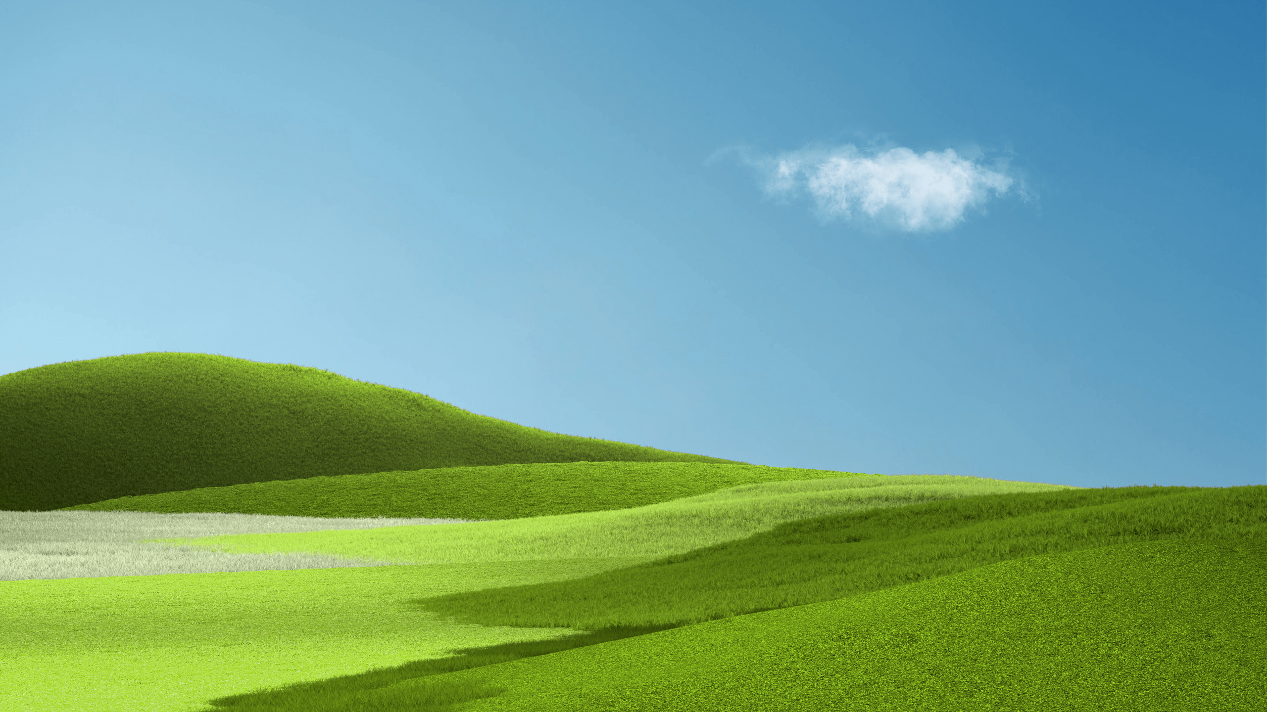 Grassland: Green field, Outside in the open, Outside environment, Pastureland. 2560x1440 HD Wallpaper.