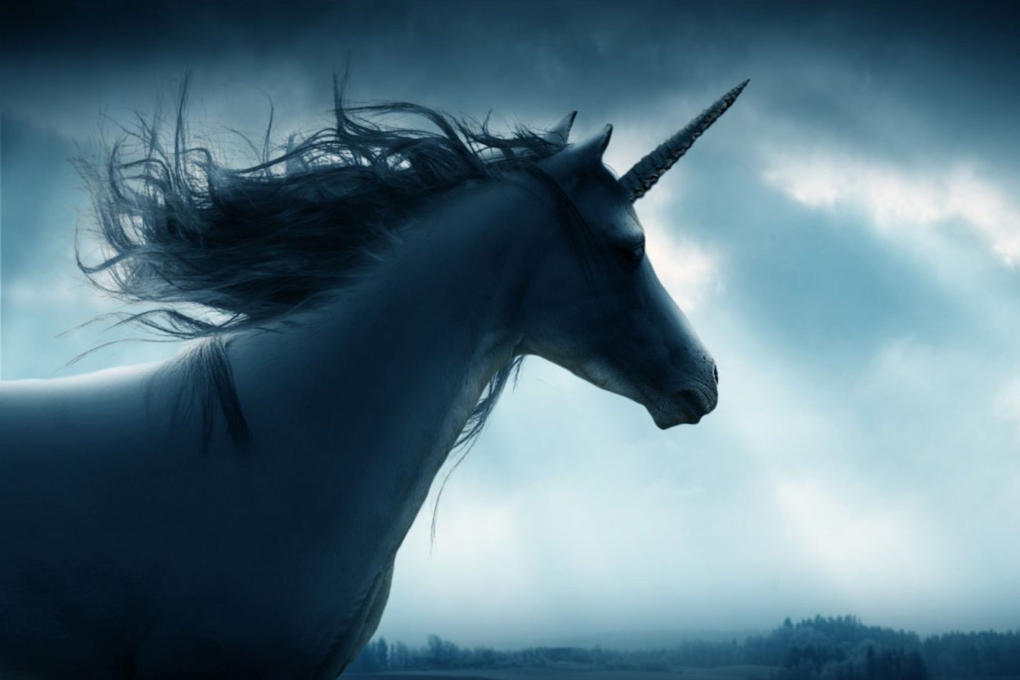 Become industry unicorn, Stand out, Unique offering, Exceptional success, 2000x1340 HD Desktop
