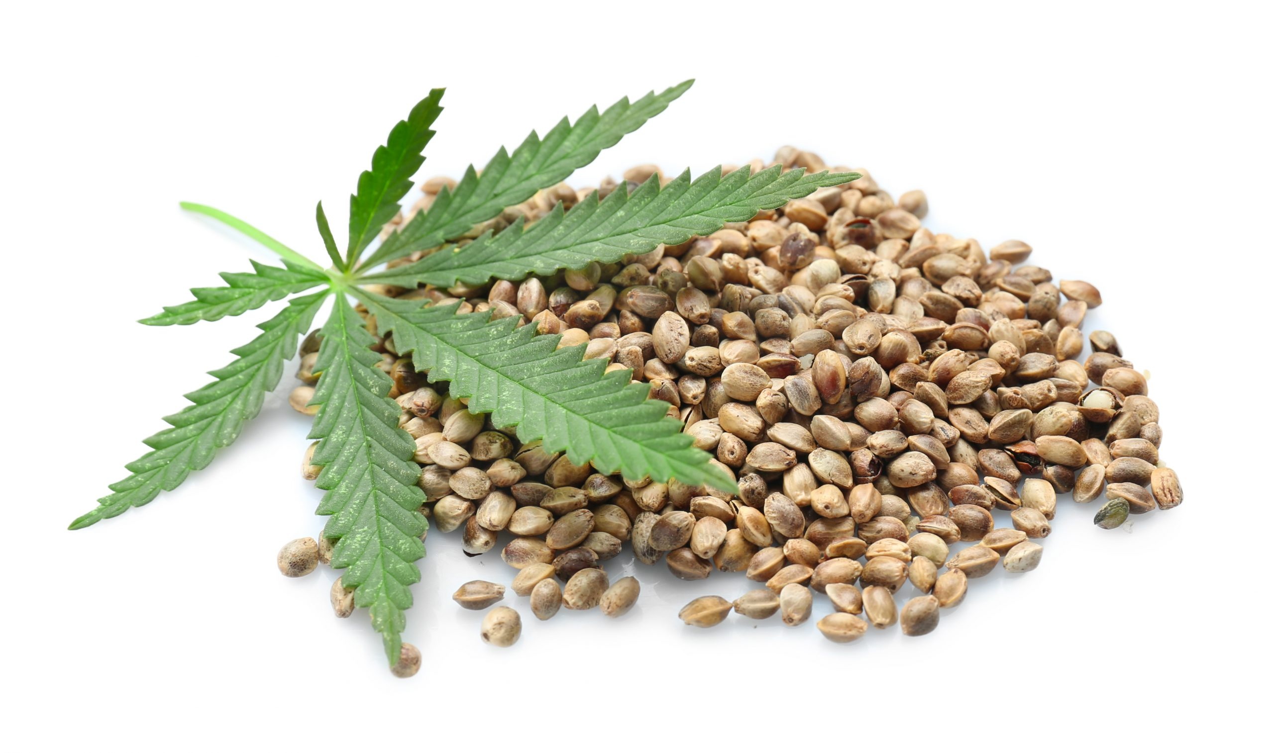 Marijuana seed purchase, CBD and cannabis, Flavor fix options, Seed buying guide, 2560x1520 HD Desktop