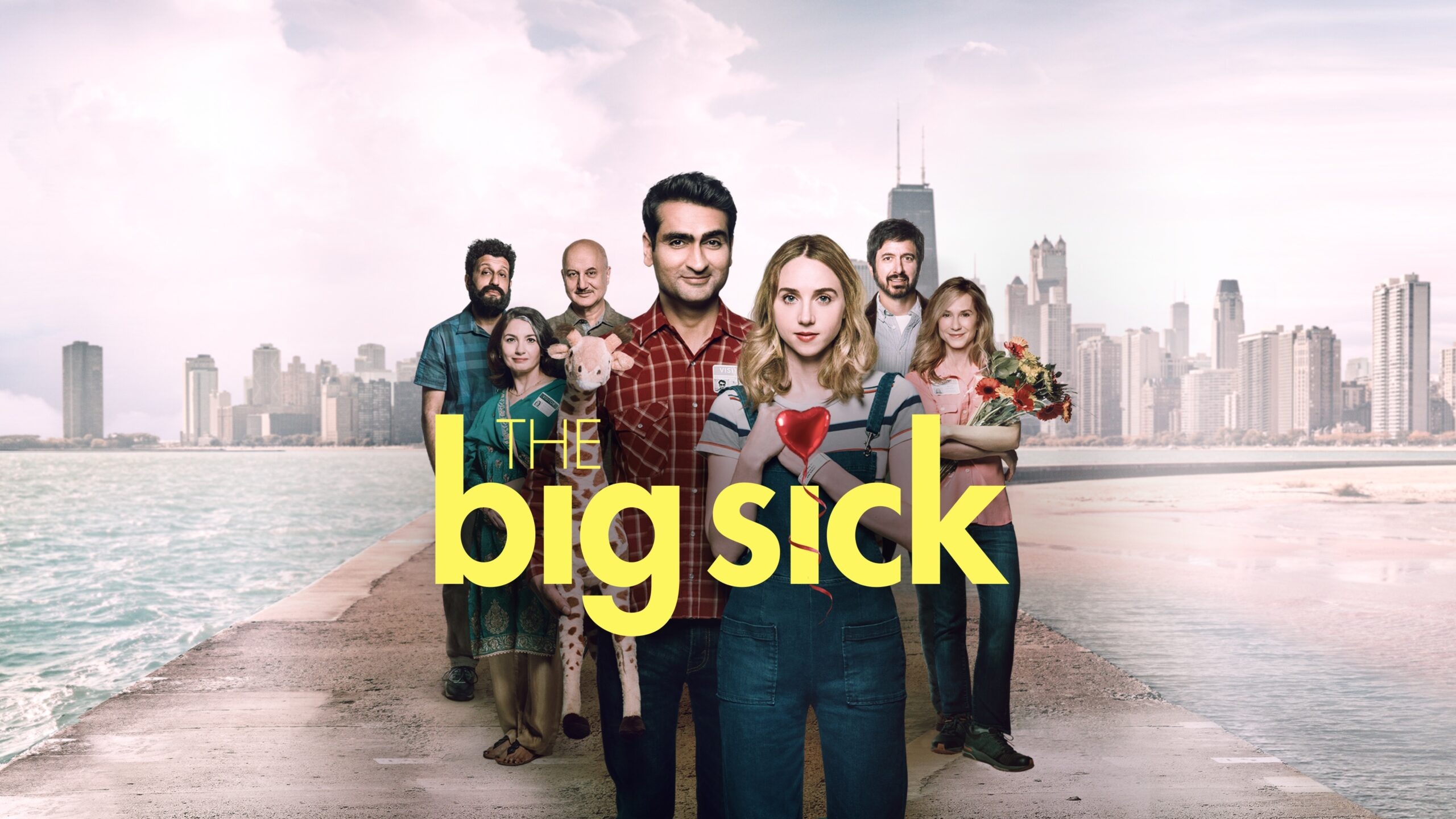 The Big Sick, Heartwarming love story, Cross-cultural romance, Comedy and drama, 2560x1440 HD Desktop