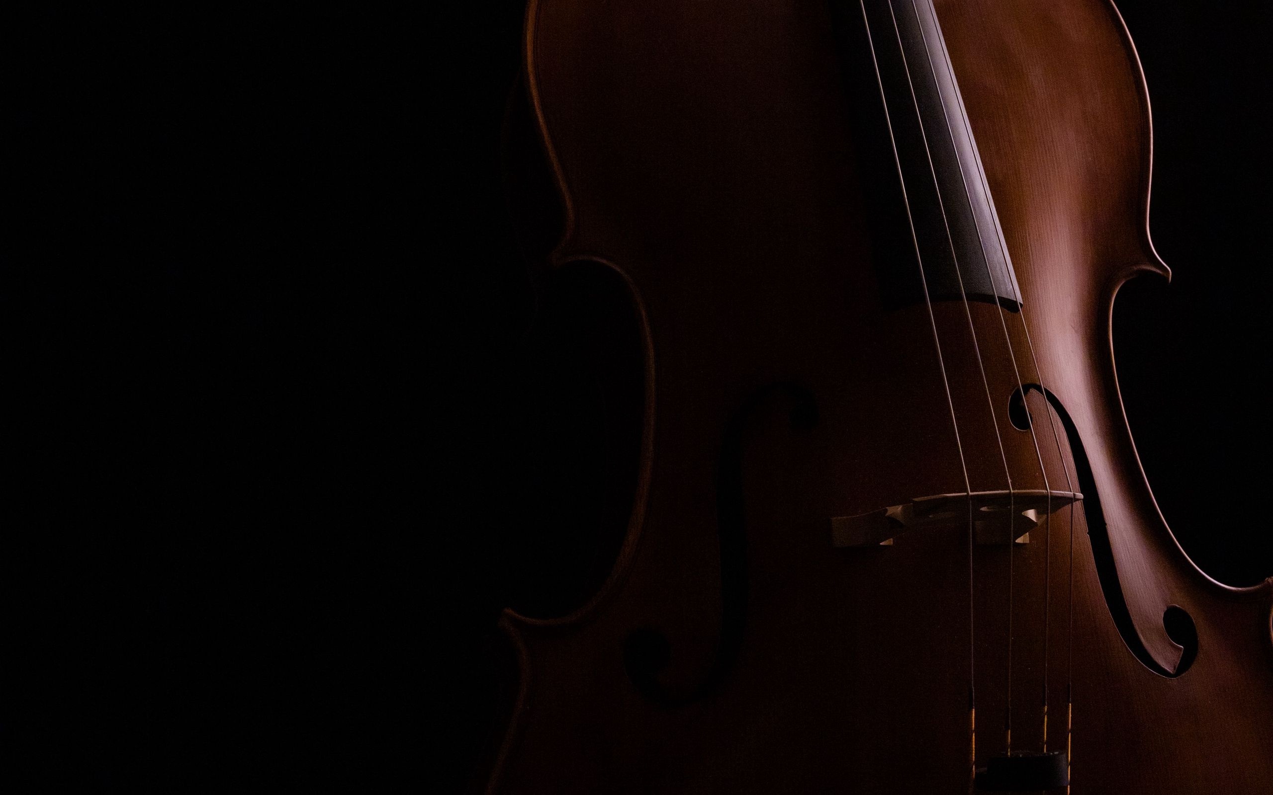 Violoncello: Woman's Body-Like Shape Of A Delicate Instrument, Classical Music. 2560x1600 HD Background.