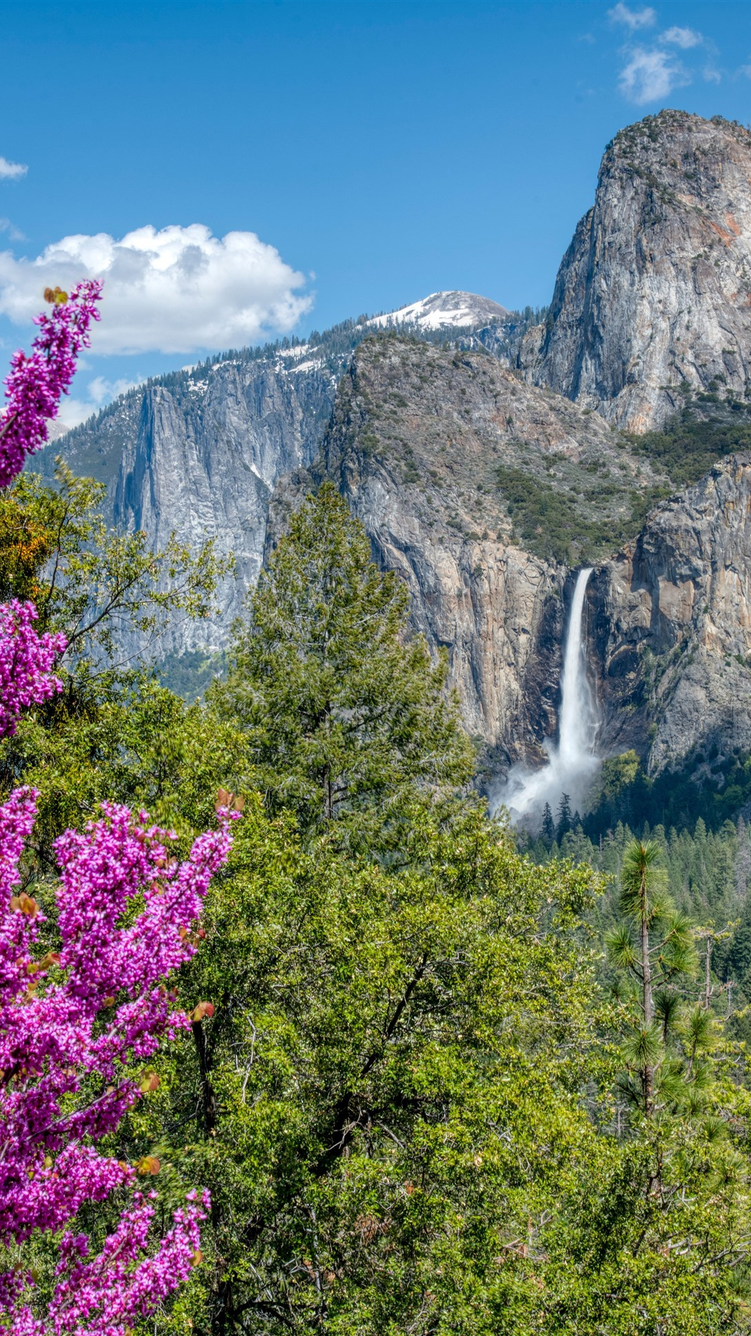 Yosemite National Park, Pink flowers, Forest mountains, Spring, 1080x1920 Full HD Phone