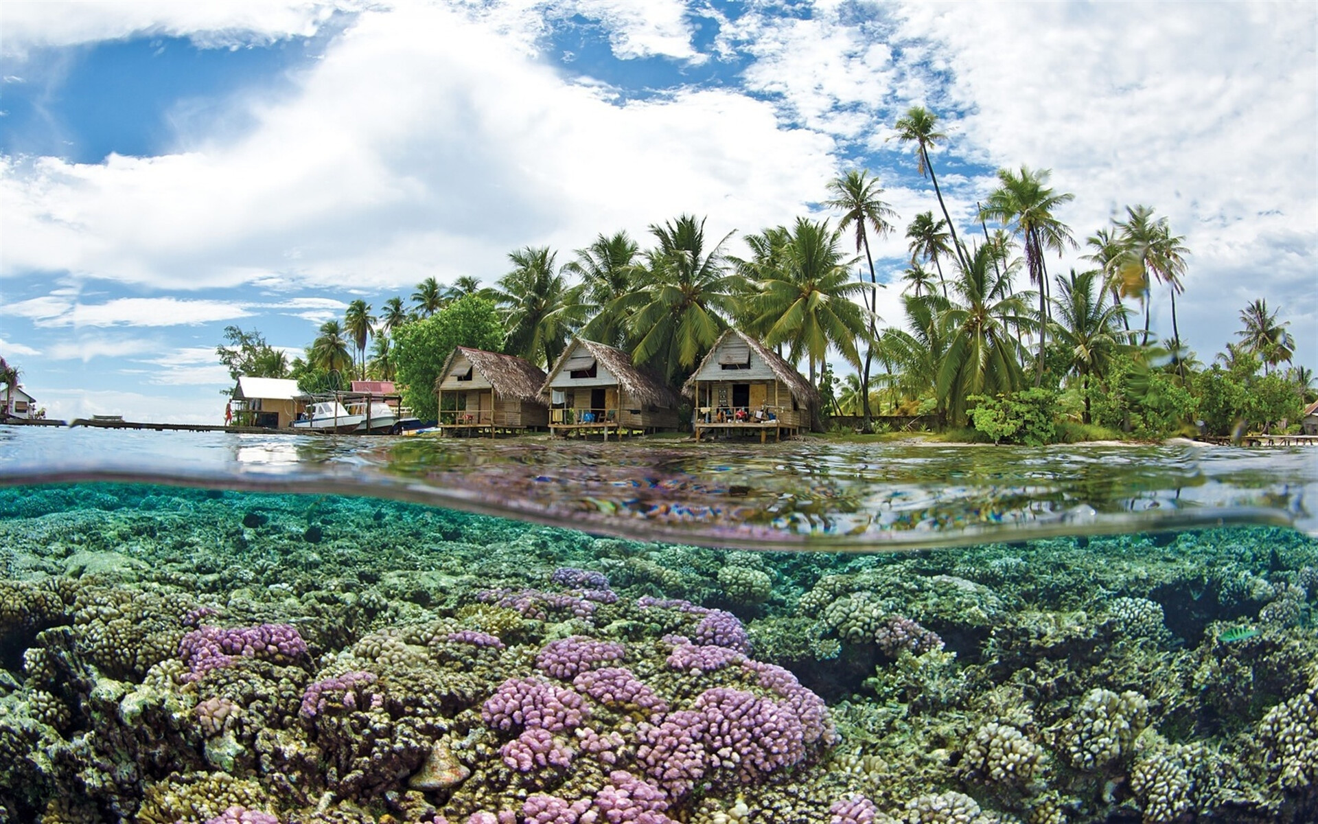 Tahiti: Coral reef, Ocean, French Polynesia. 1920x1200 HD Wallpaper.