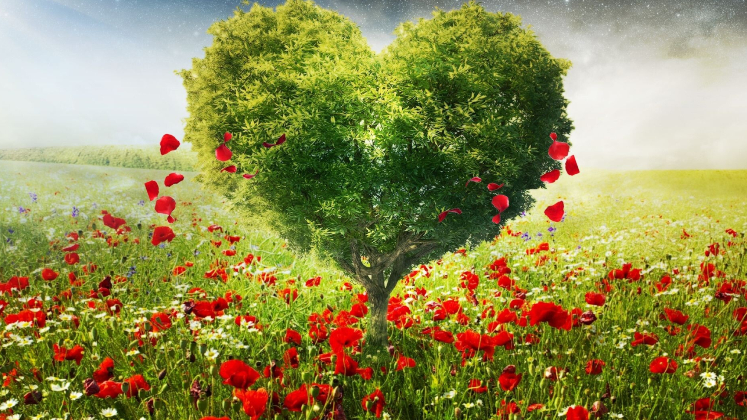 Go Green: Heart-shaped tree, The field of poppies, Beautiful nature, Untouched natural beauty. 2560x1440 HD Background.