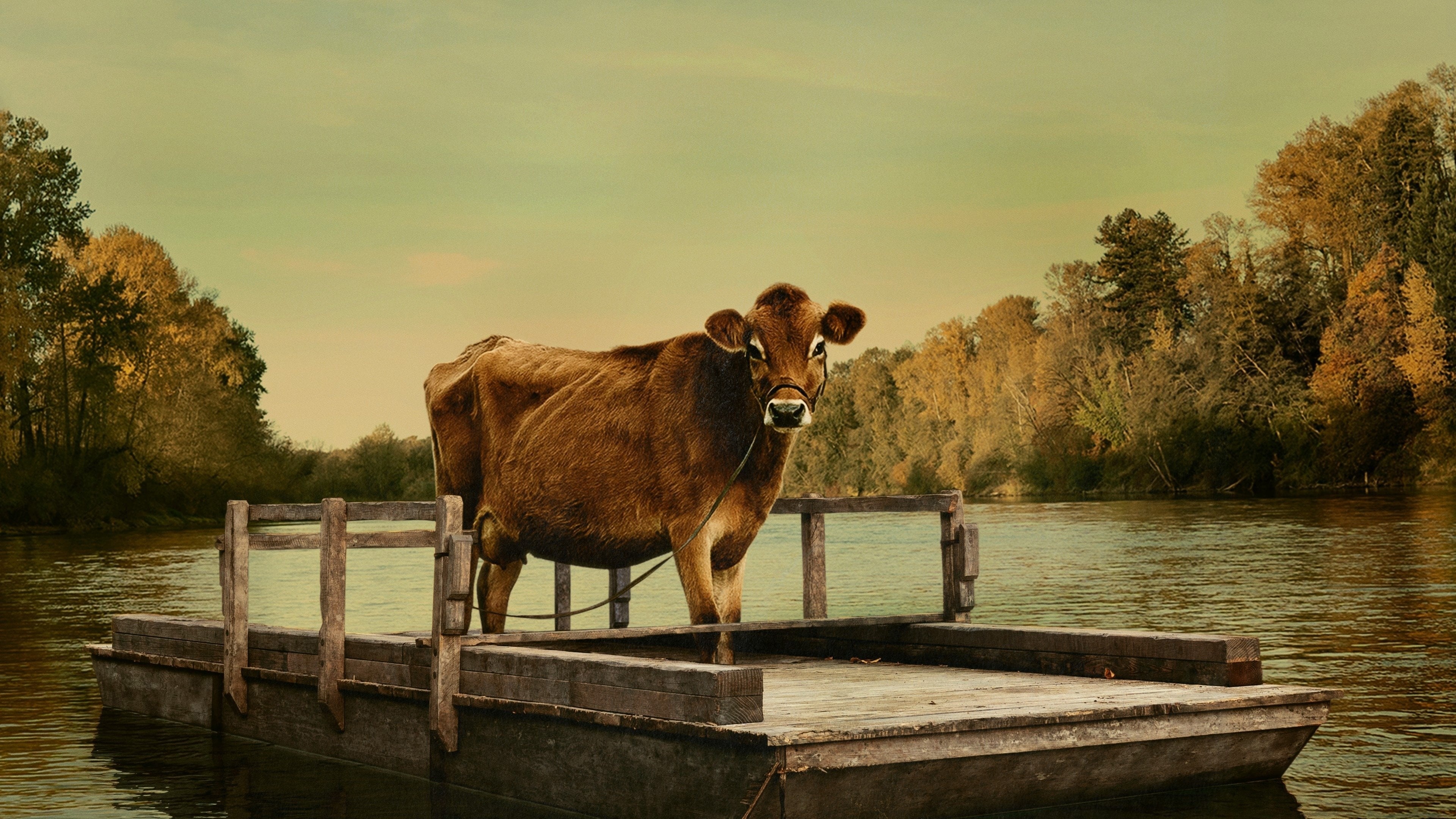 First Cow Movie, 2020 backdrops, The Movie Database, TMDB, 3840x2160 4K Desktop