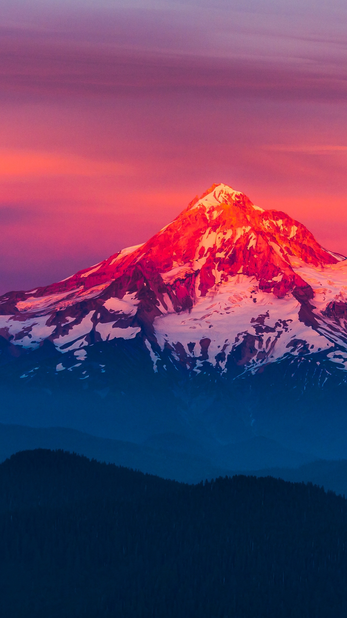 Mount Hood, Oregon, Alpenglow sunset, Pink sky, 1440x2560 HD Phone