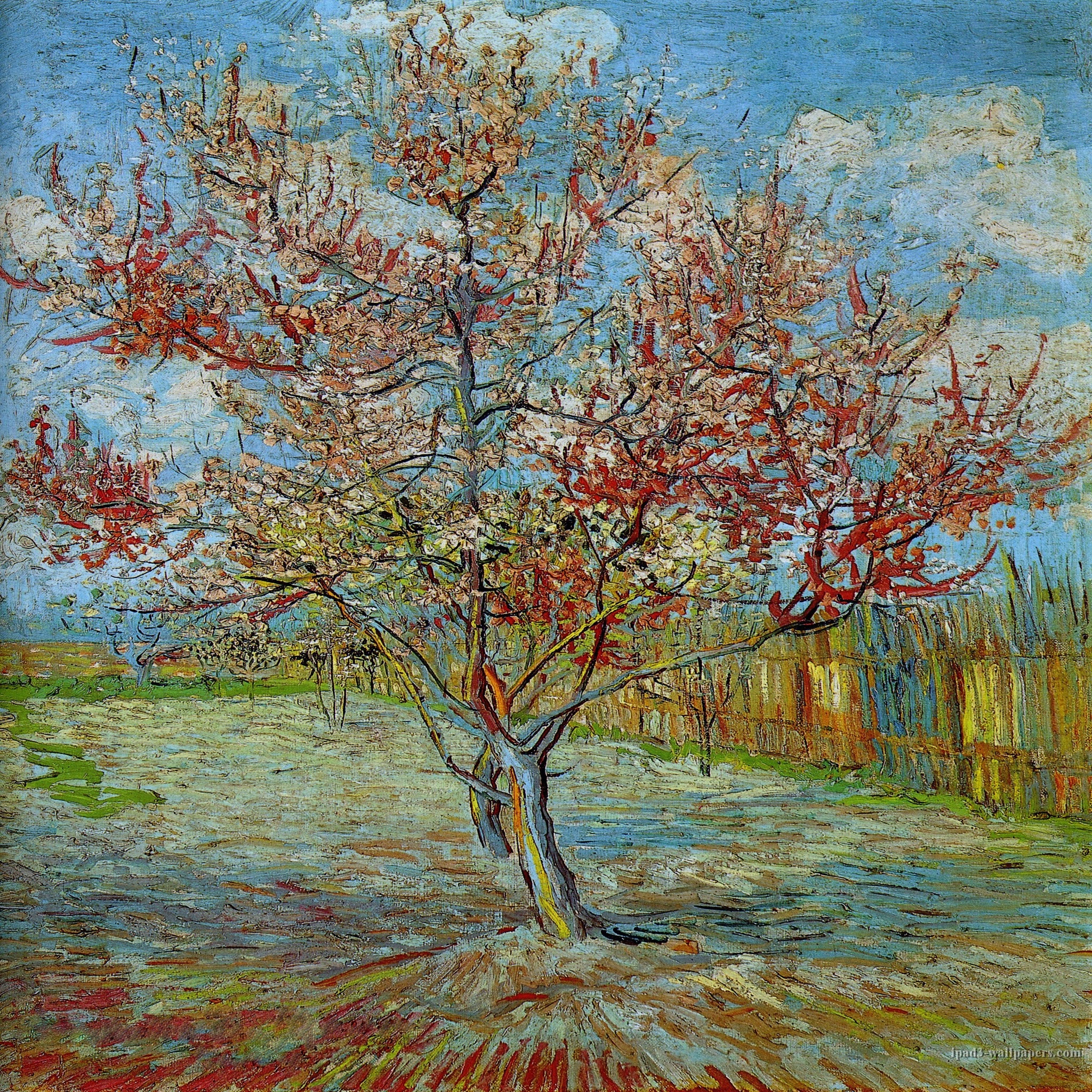 Vincent van Gogh, iPad wallpaper, Artistic background, Exquisite designs, 2050x2050 HD Phone